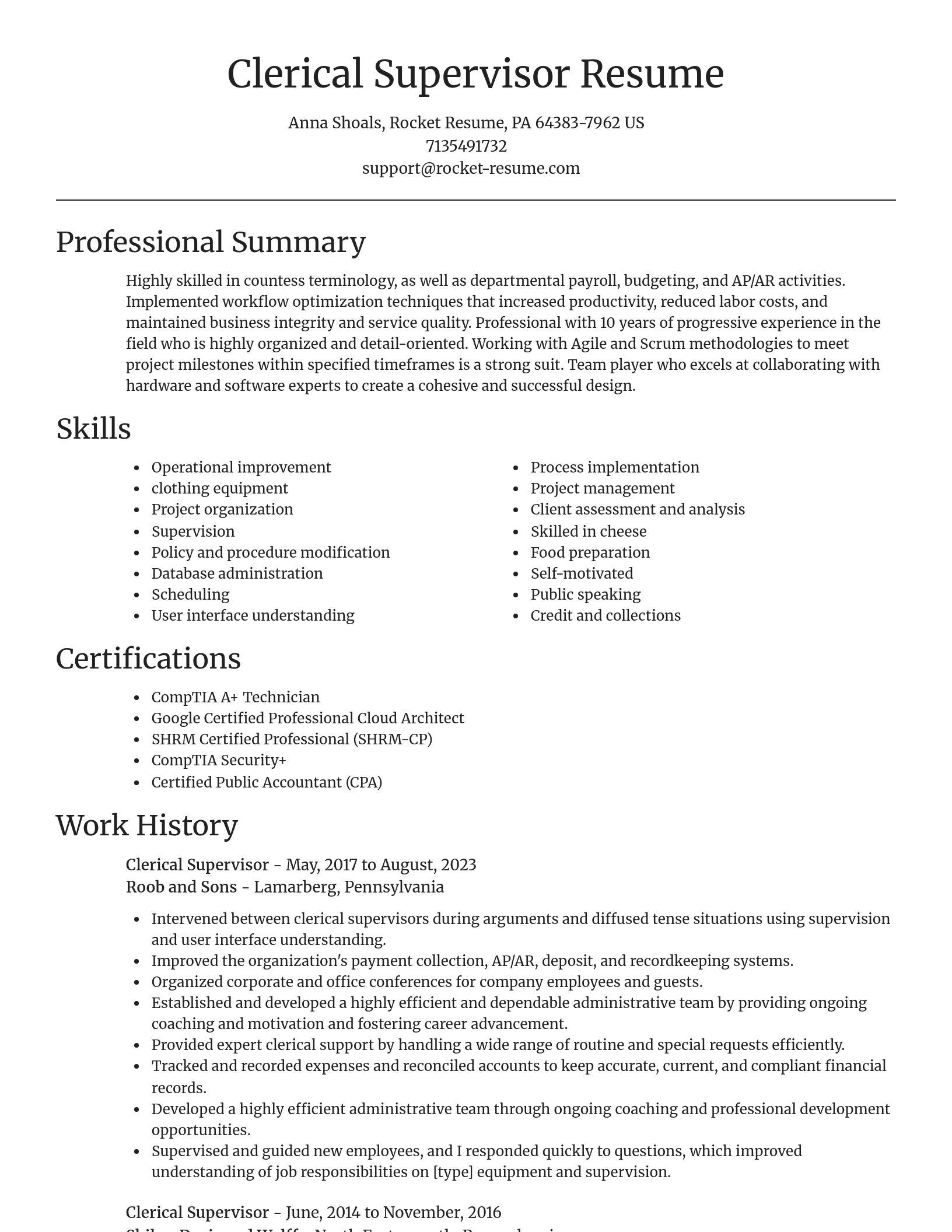 Focal Point resume template