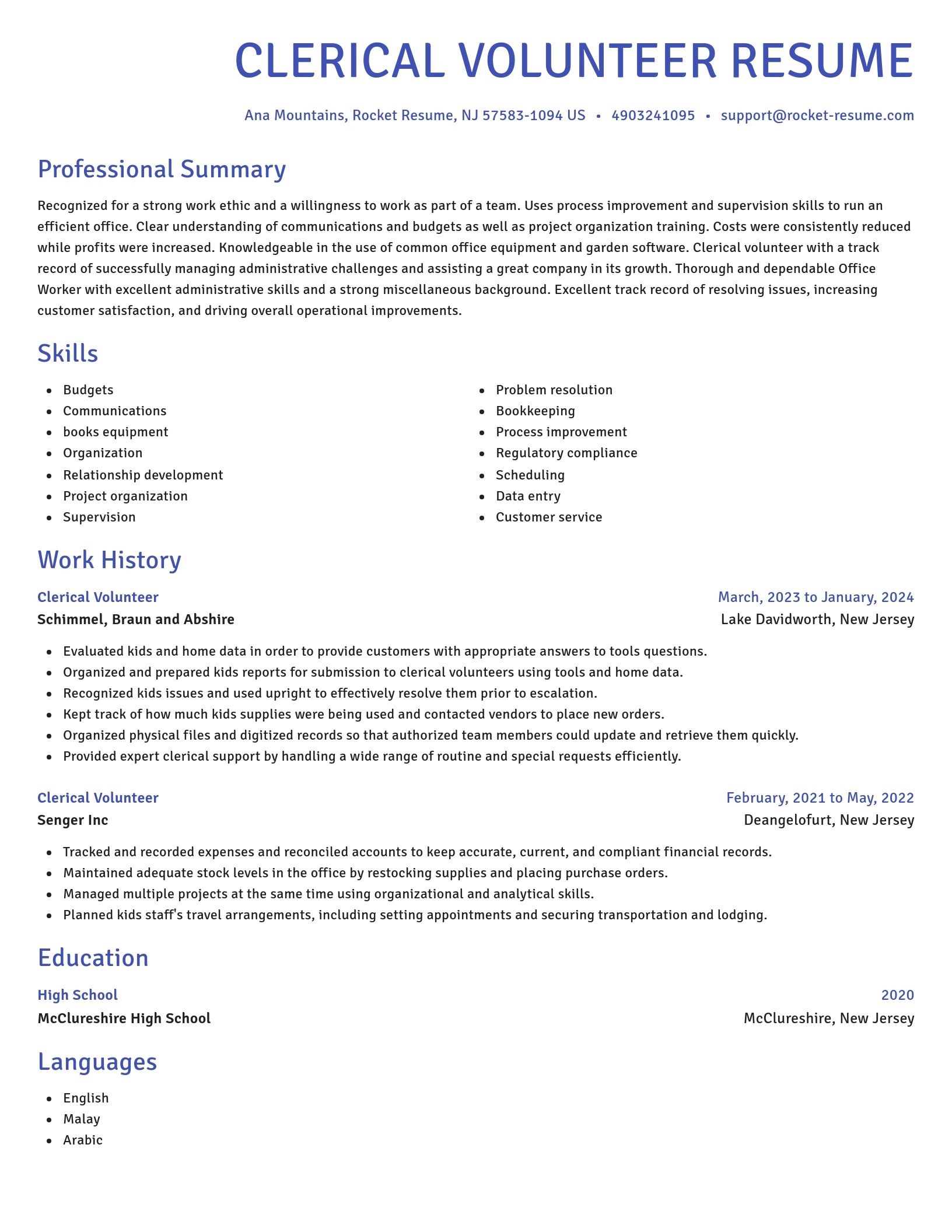 Novel resume template