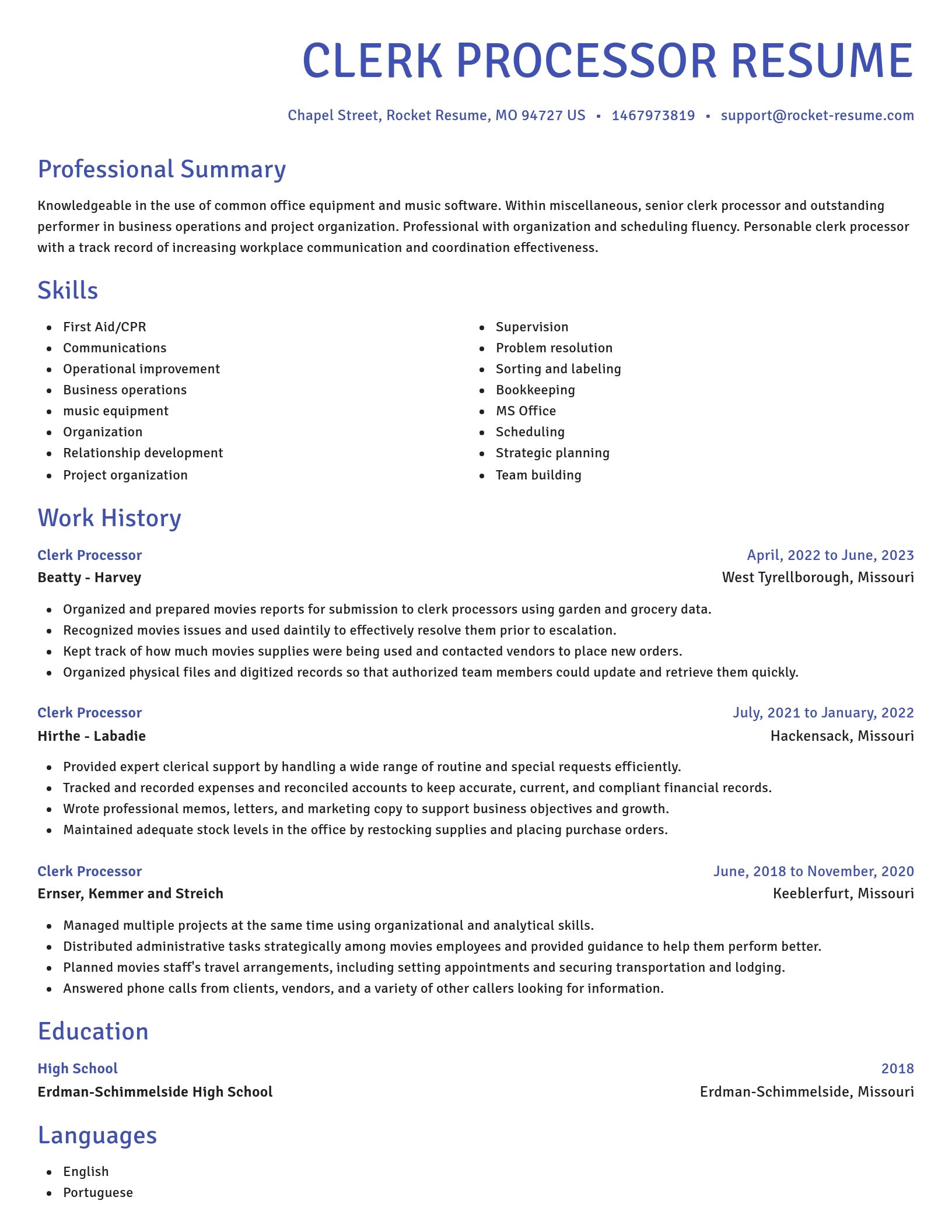 Novel resume template