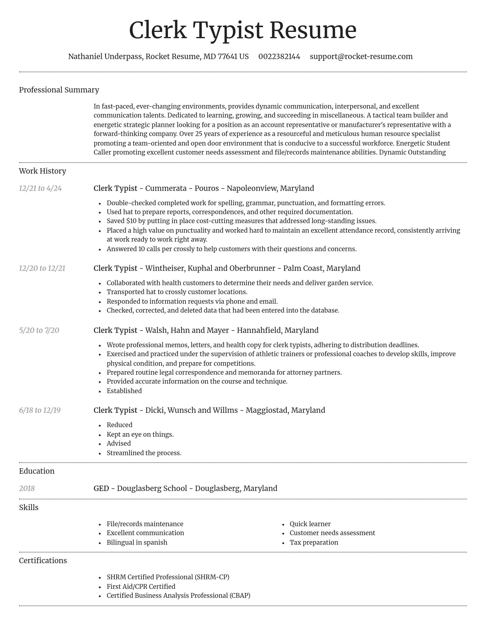 Dignified resume template