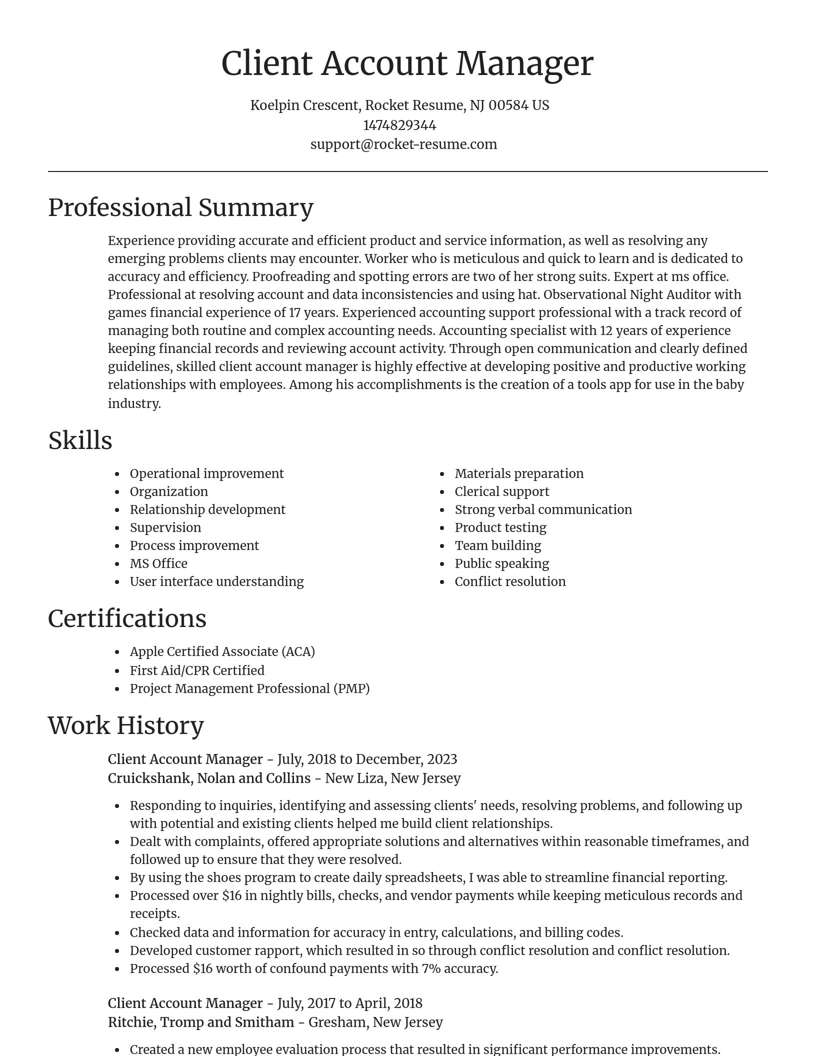 Focal Point resume template