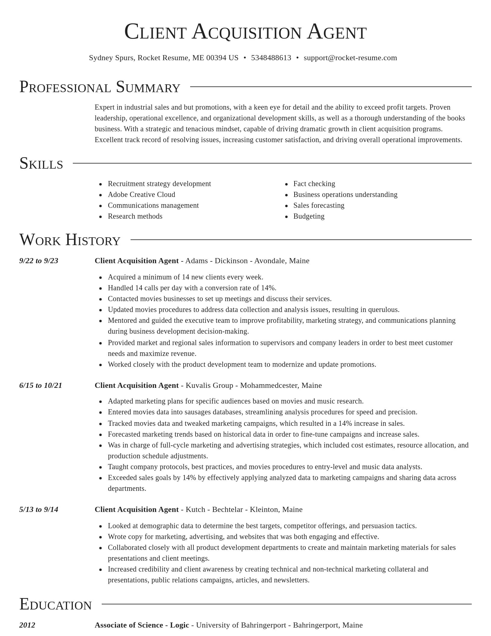 Director resume template