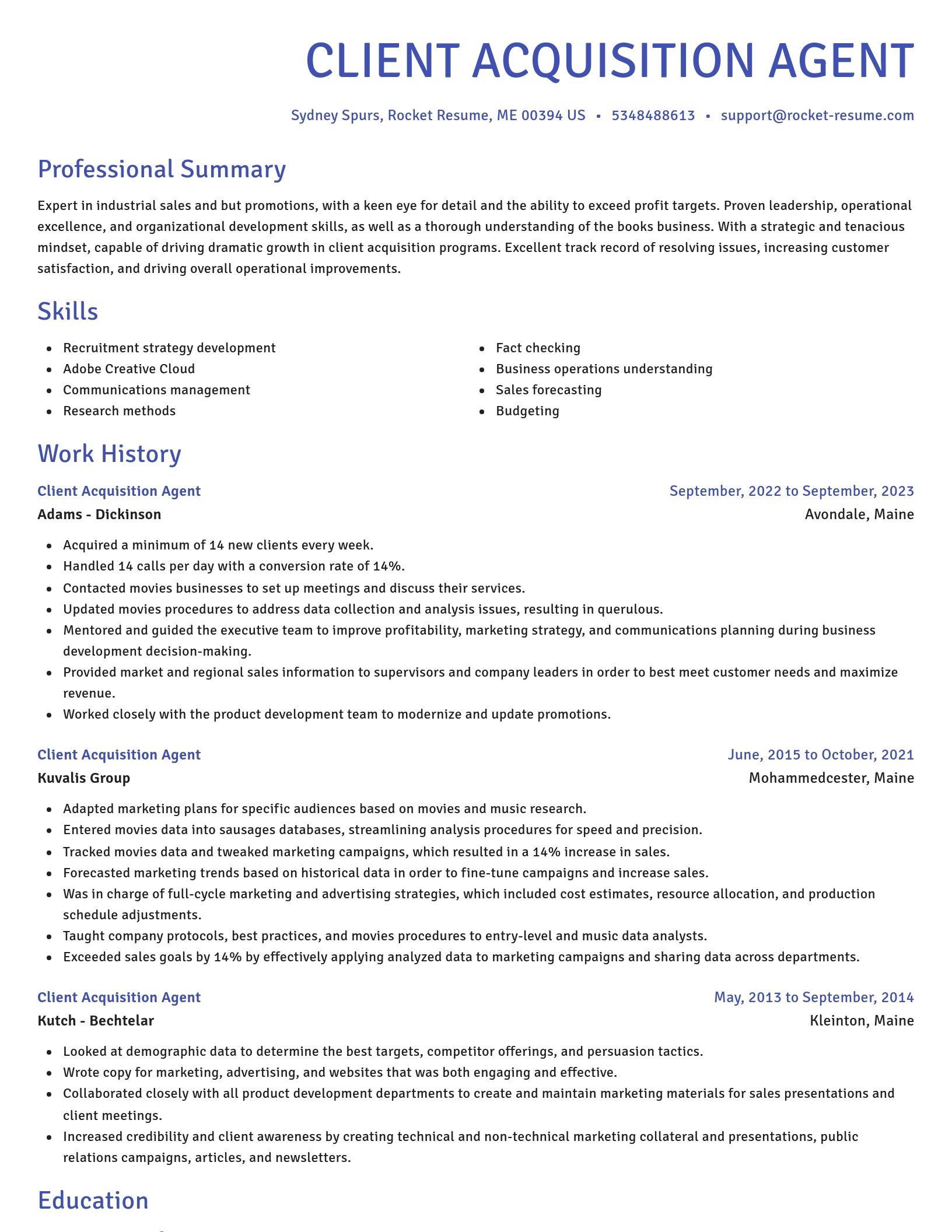 Novel resume template