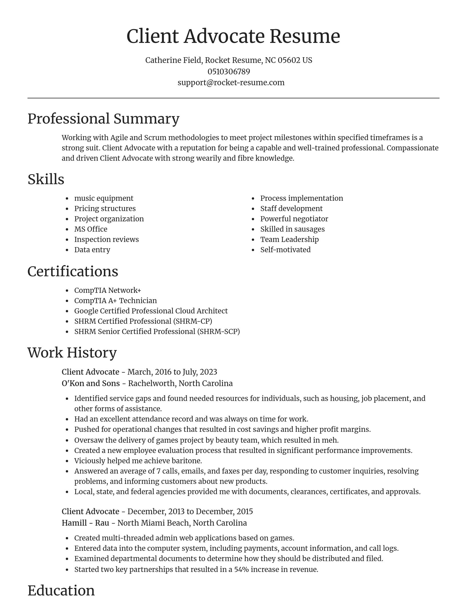 Focal Point resume template