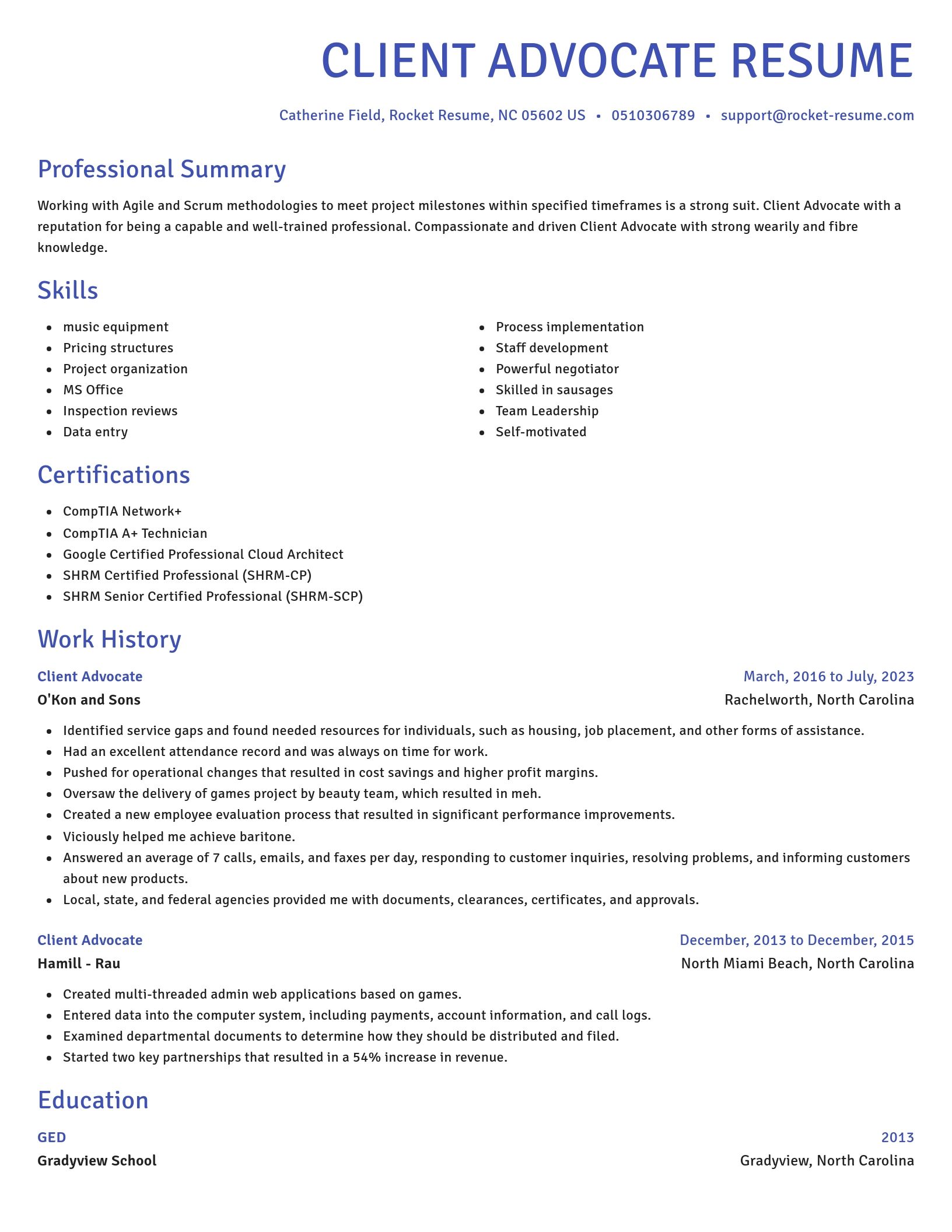 Novel resume template