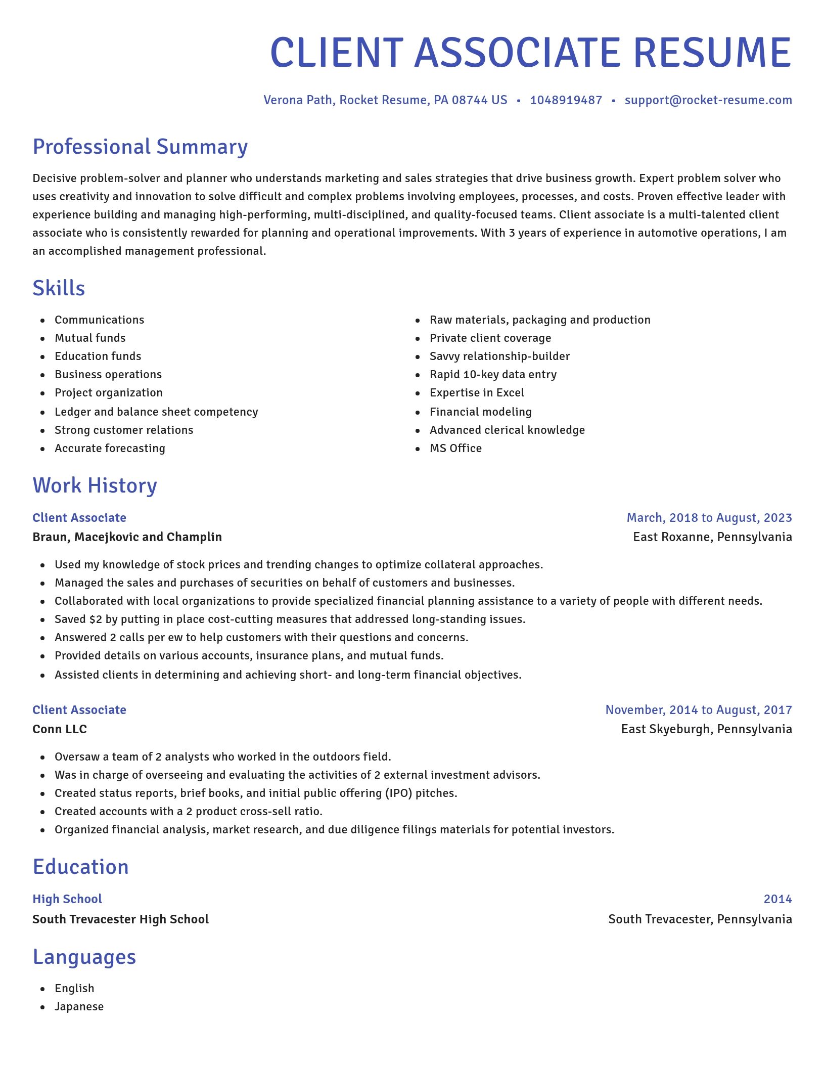 Novel resume template