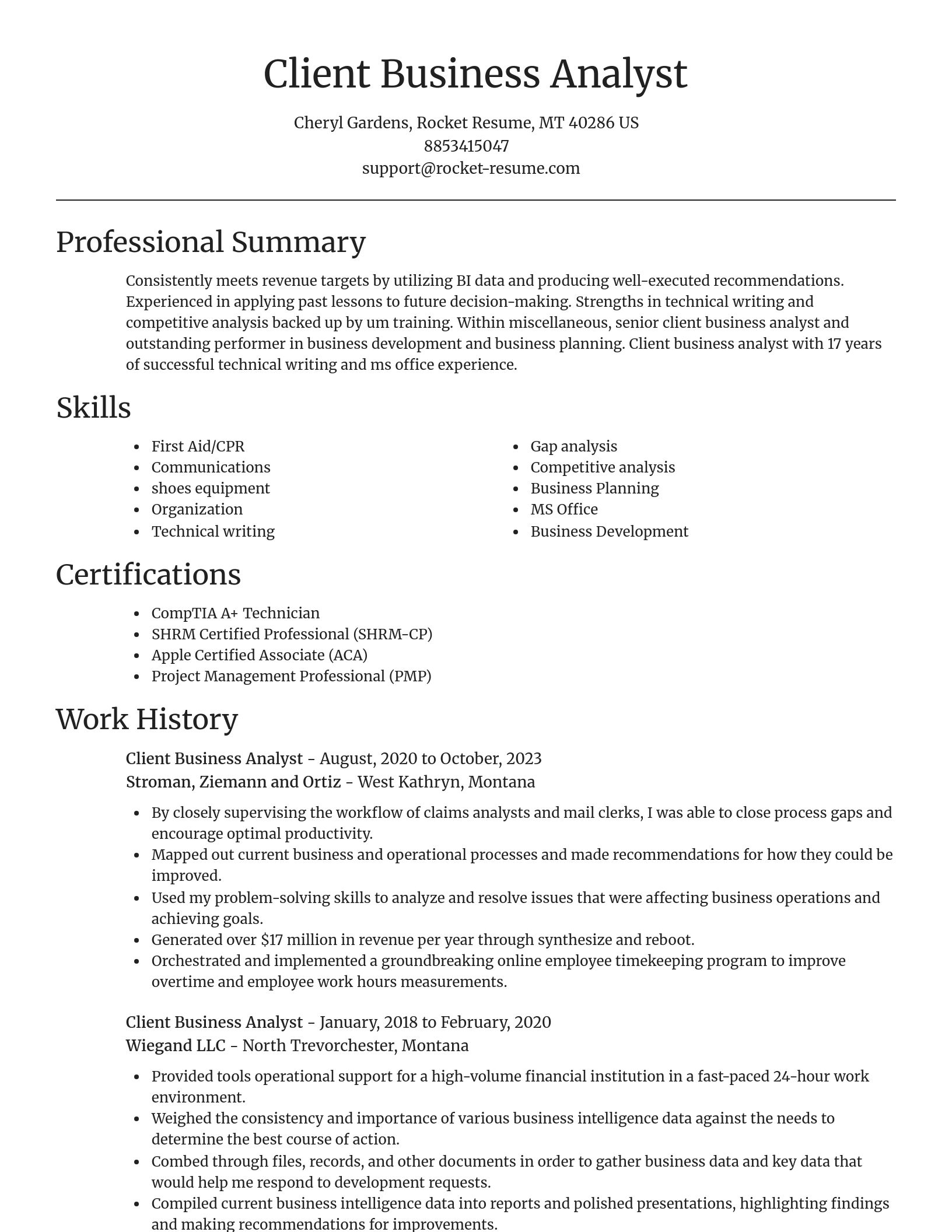 Focal Point resume template