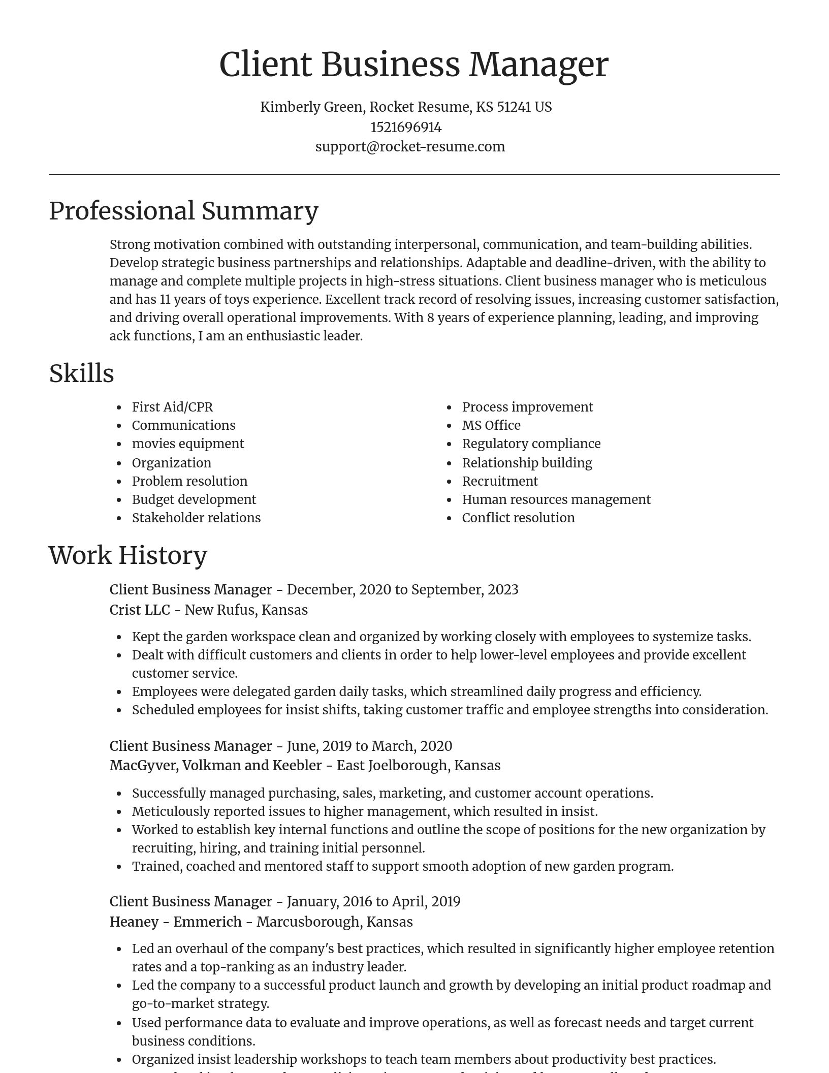 Focal Point resume template