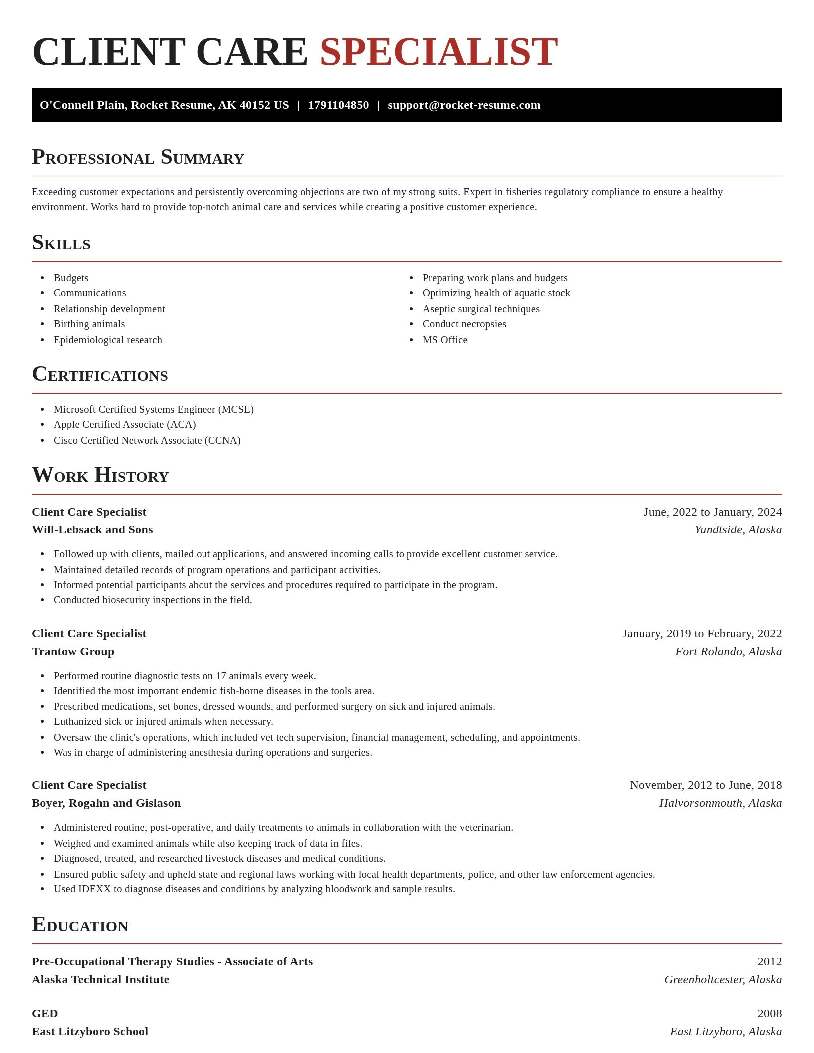 Exquisite resume template