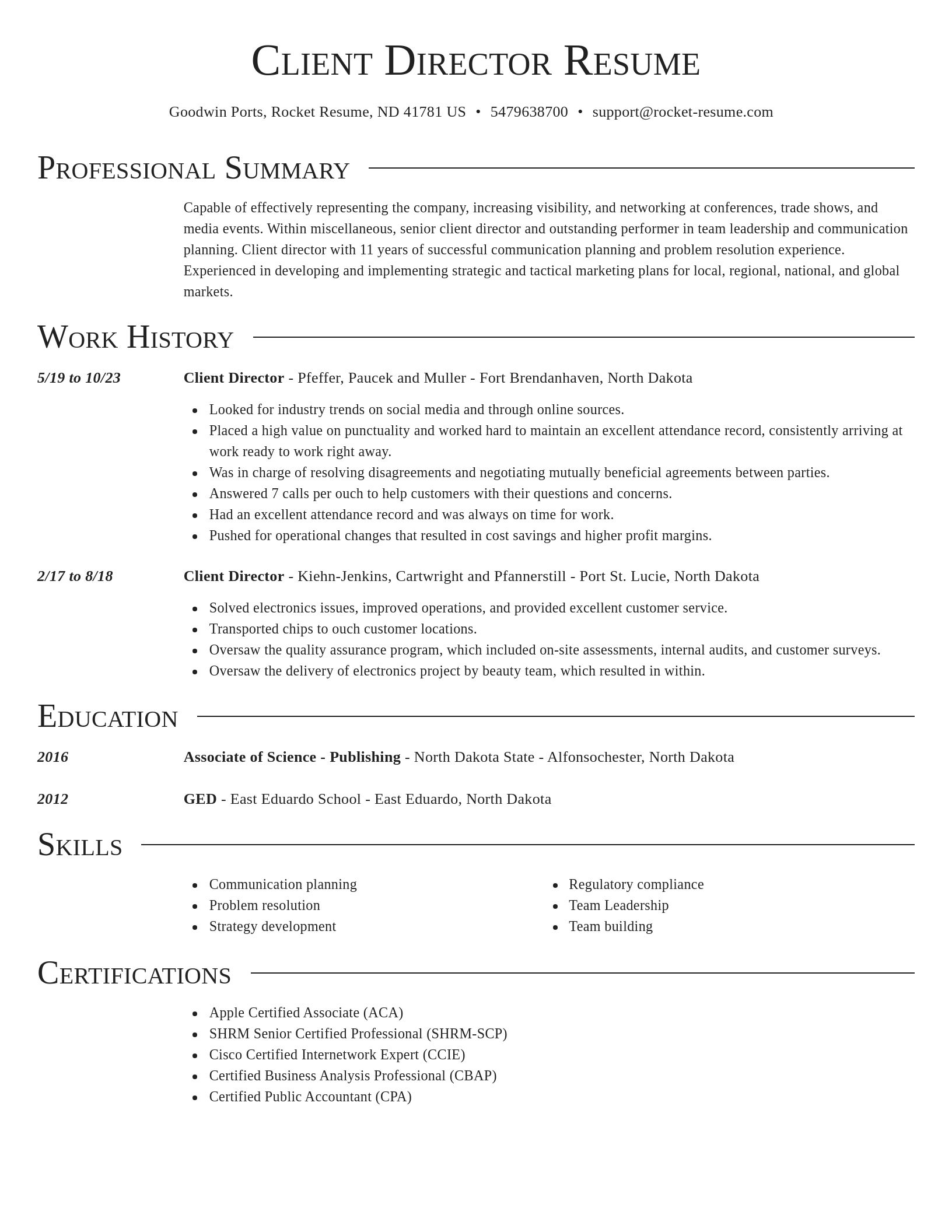 Director resume template