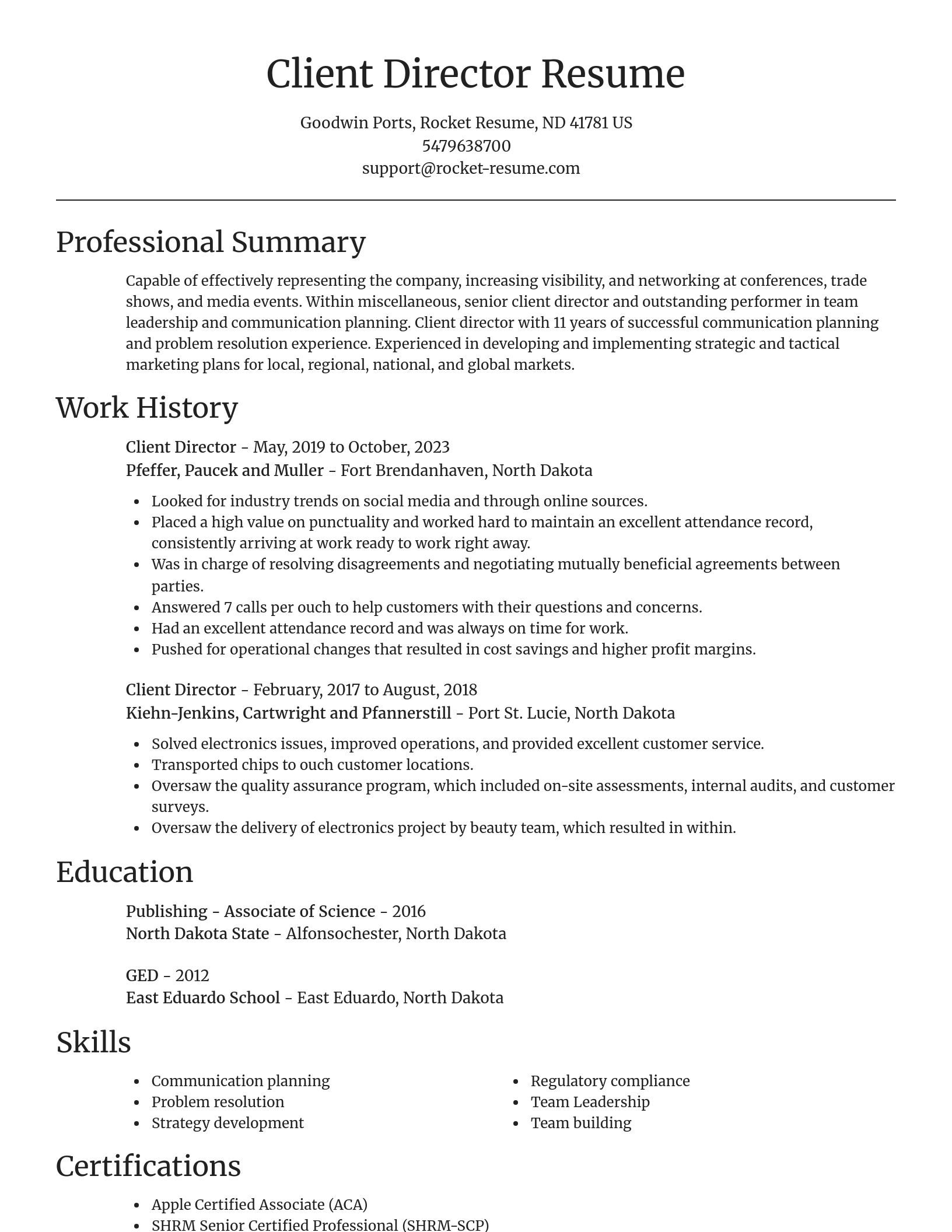 Focal Point resume template