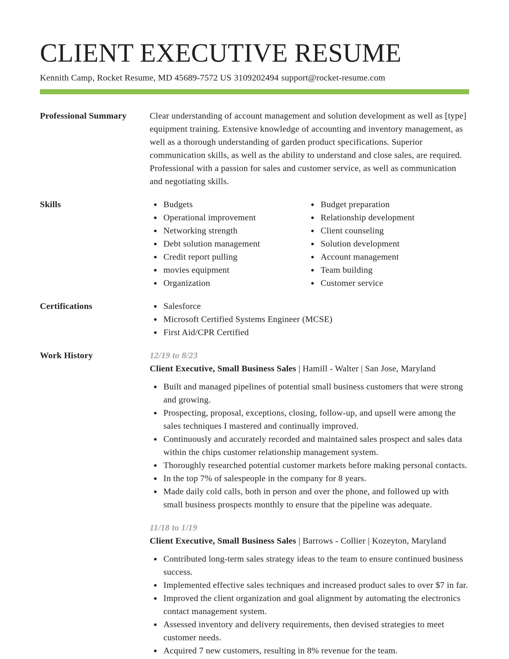 Smart resume template