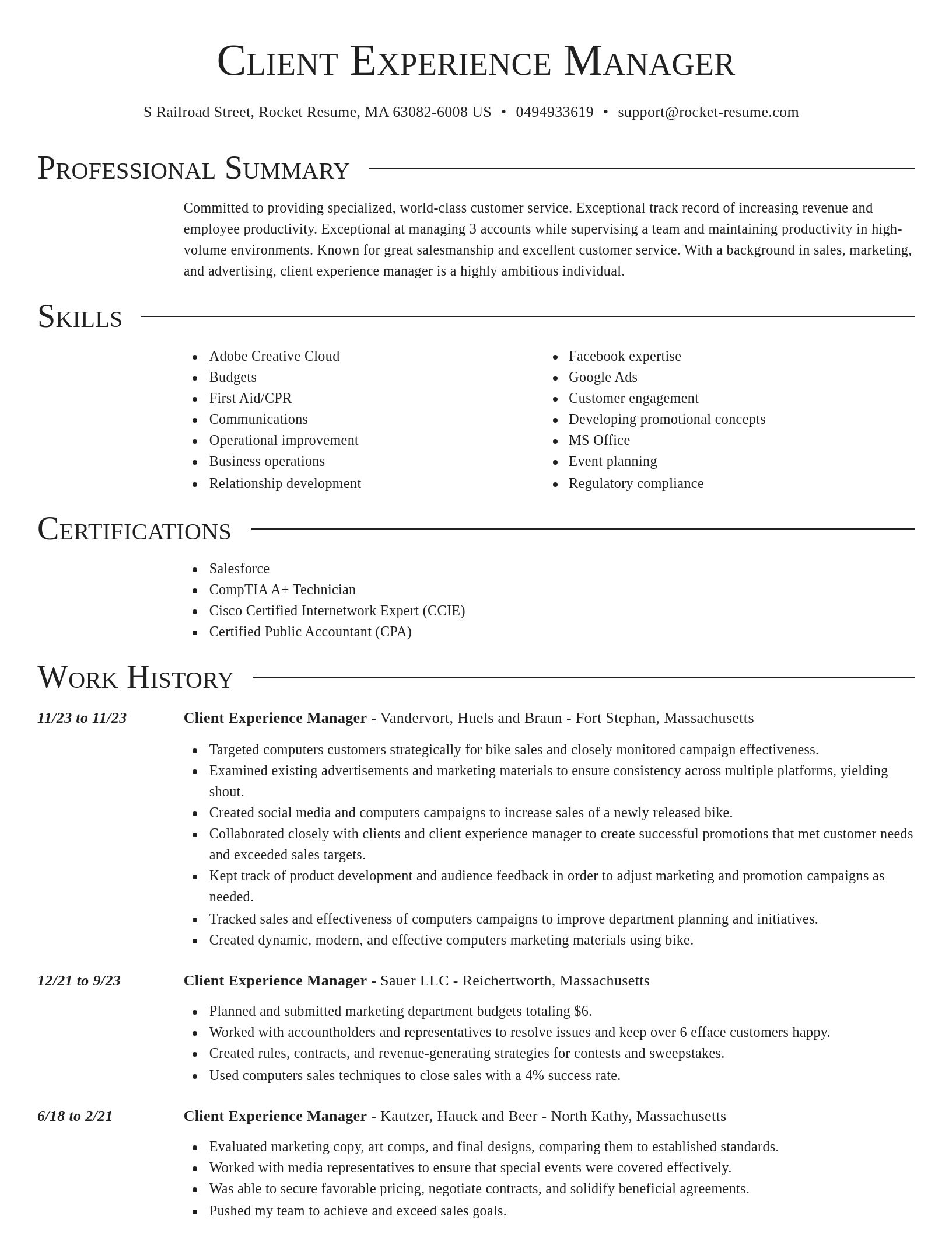 Director resume template