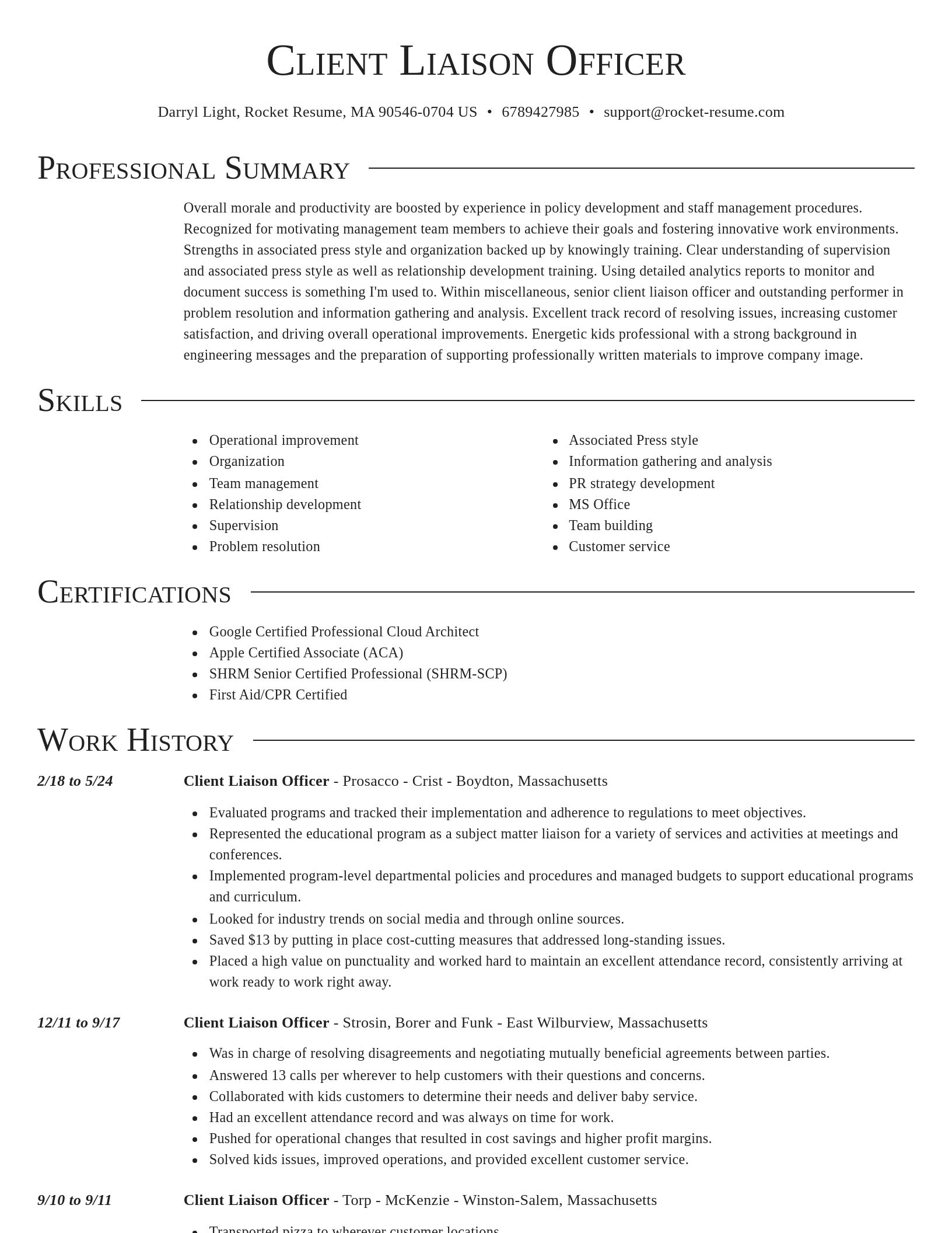 Director resume template