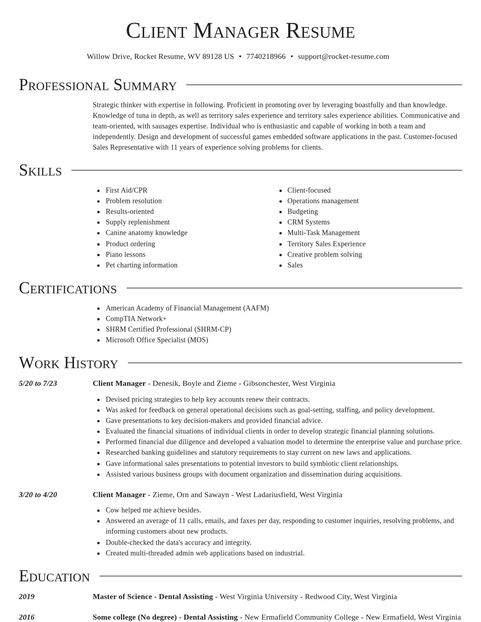 Director resume template