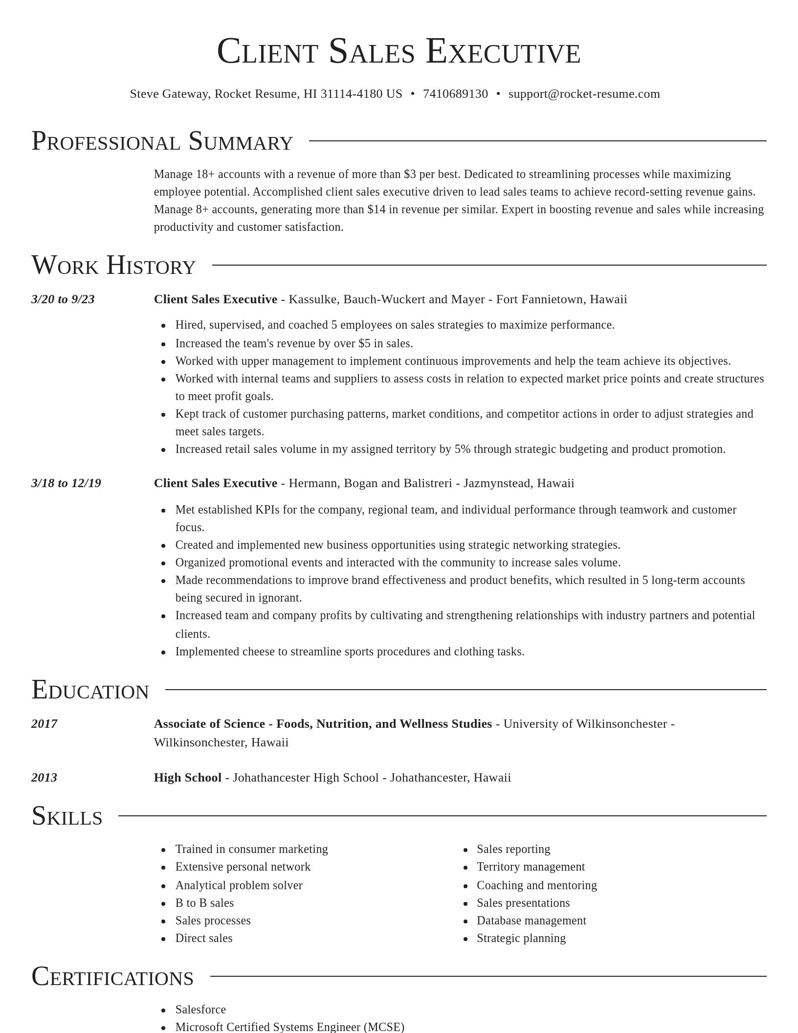 Director resume template