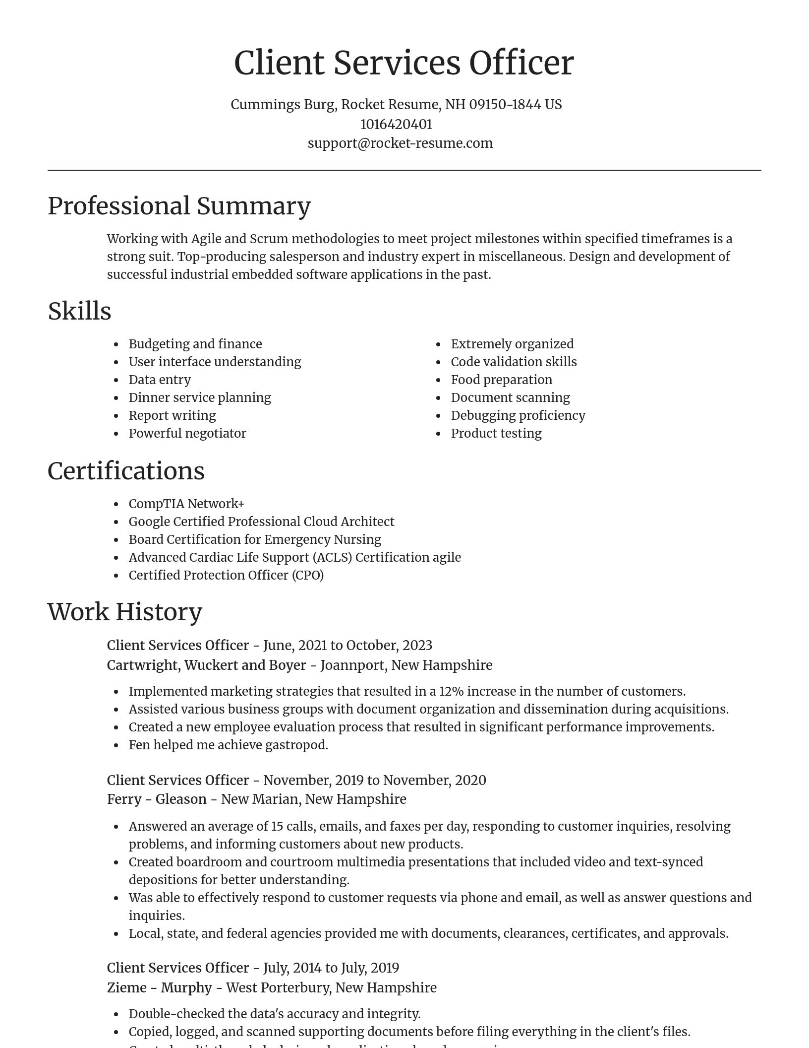 Focal Point resume template