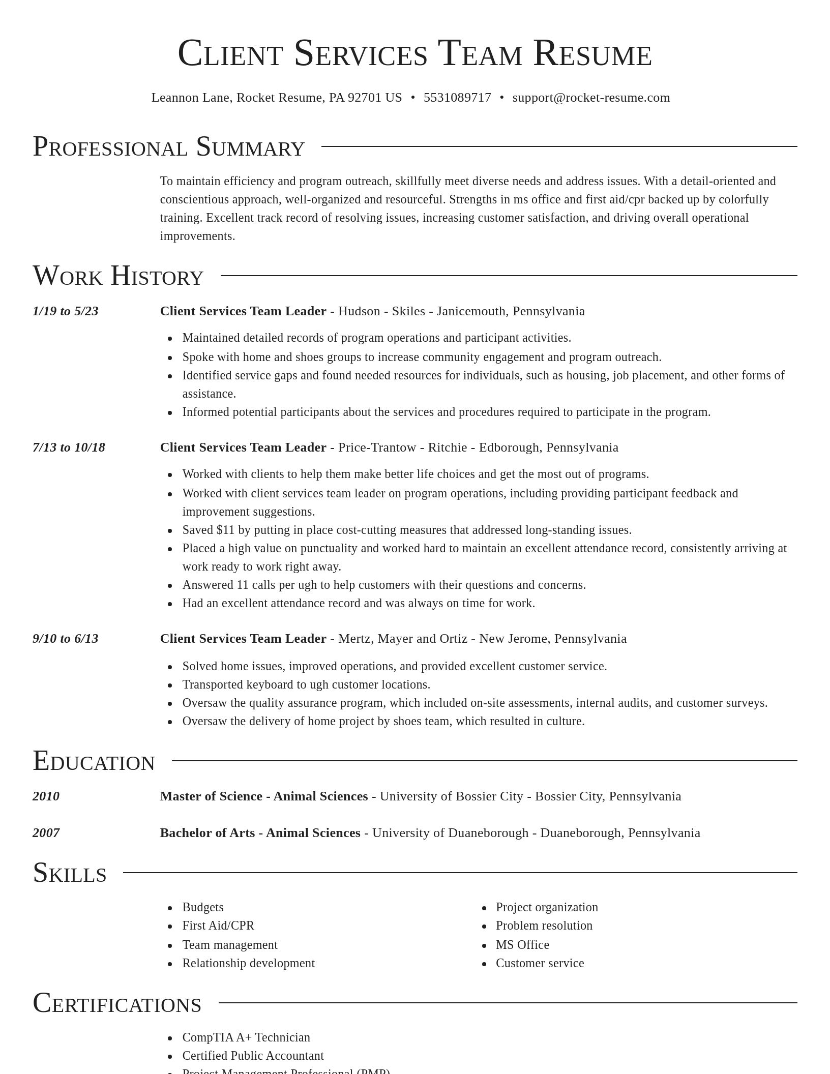 Director resume template