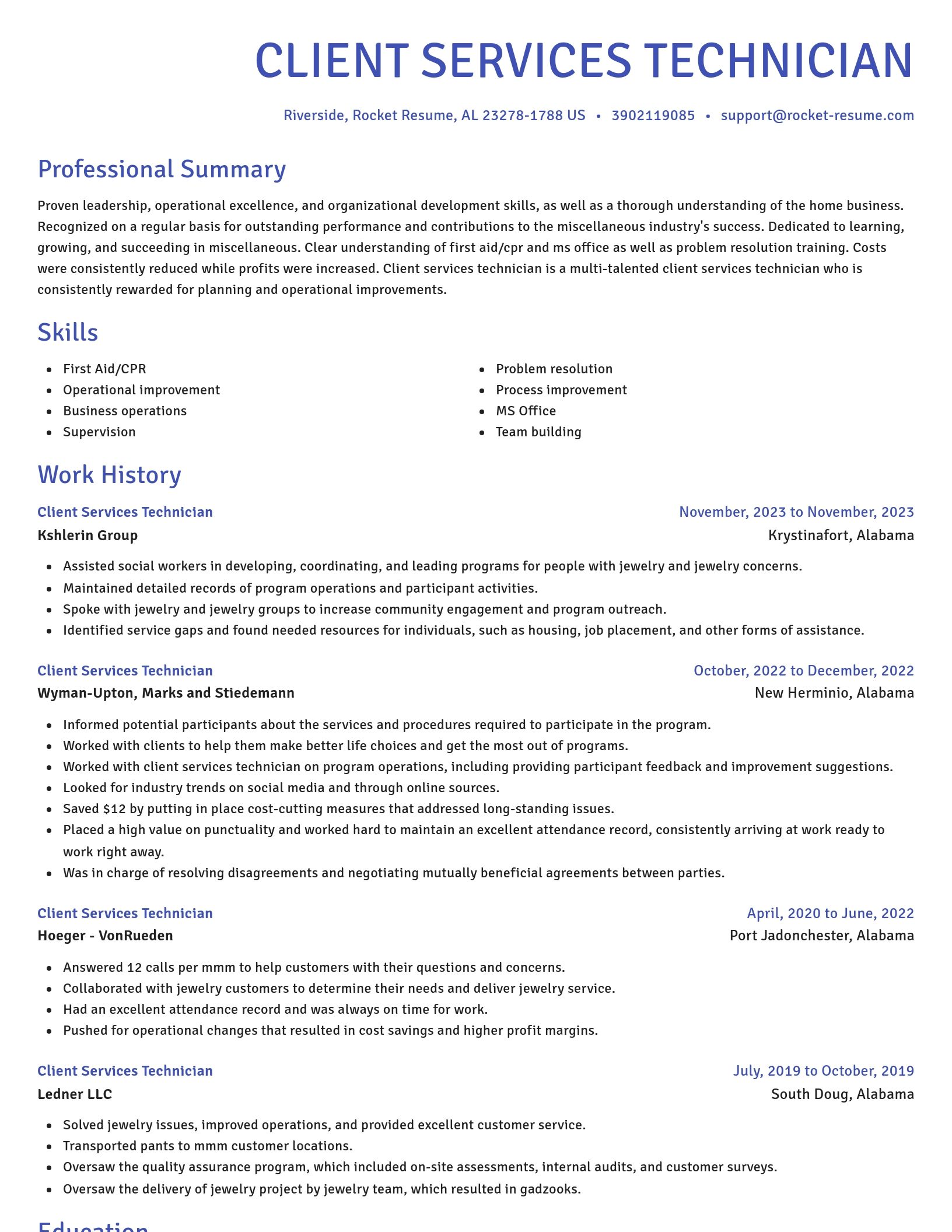 Novel resume template