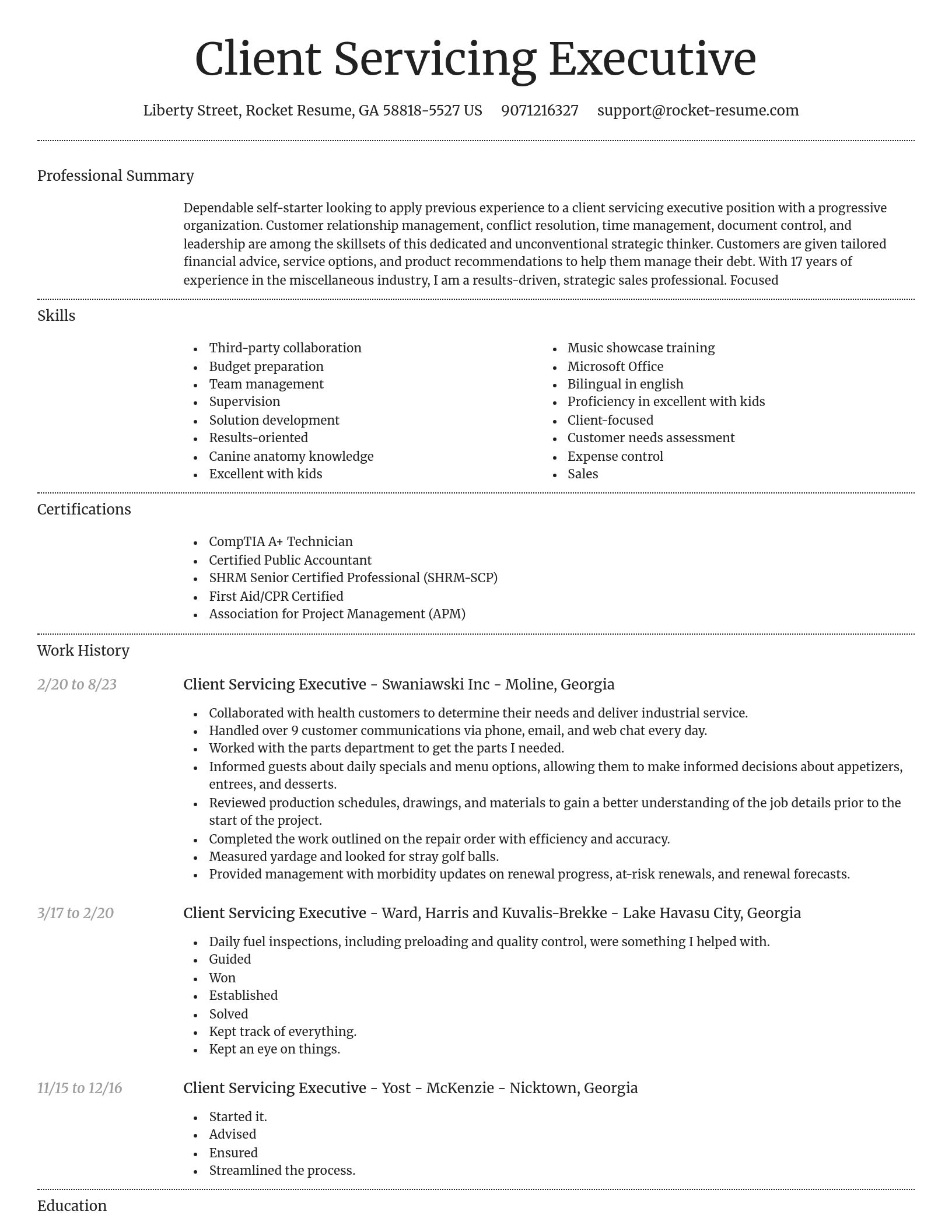 Dignified resume template