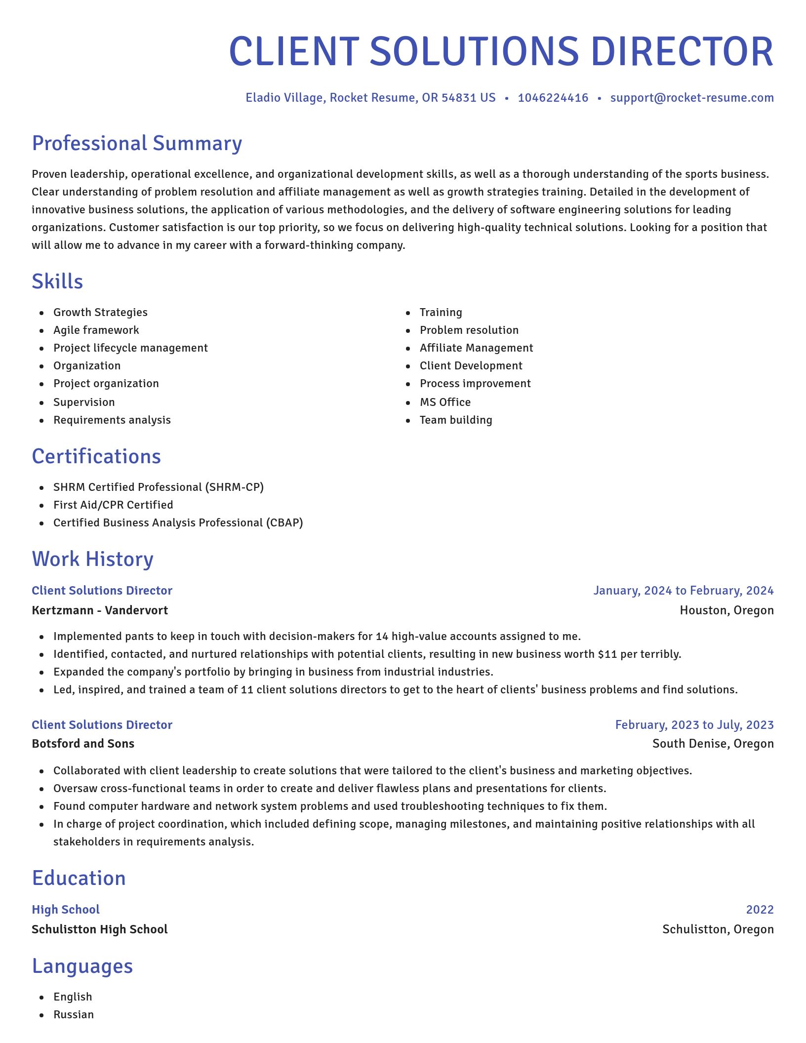 Novel resume template