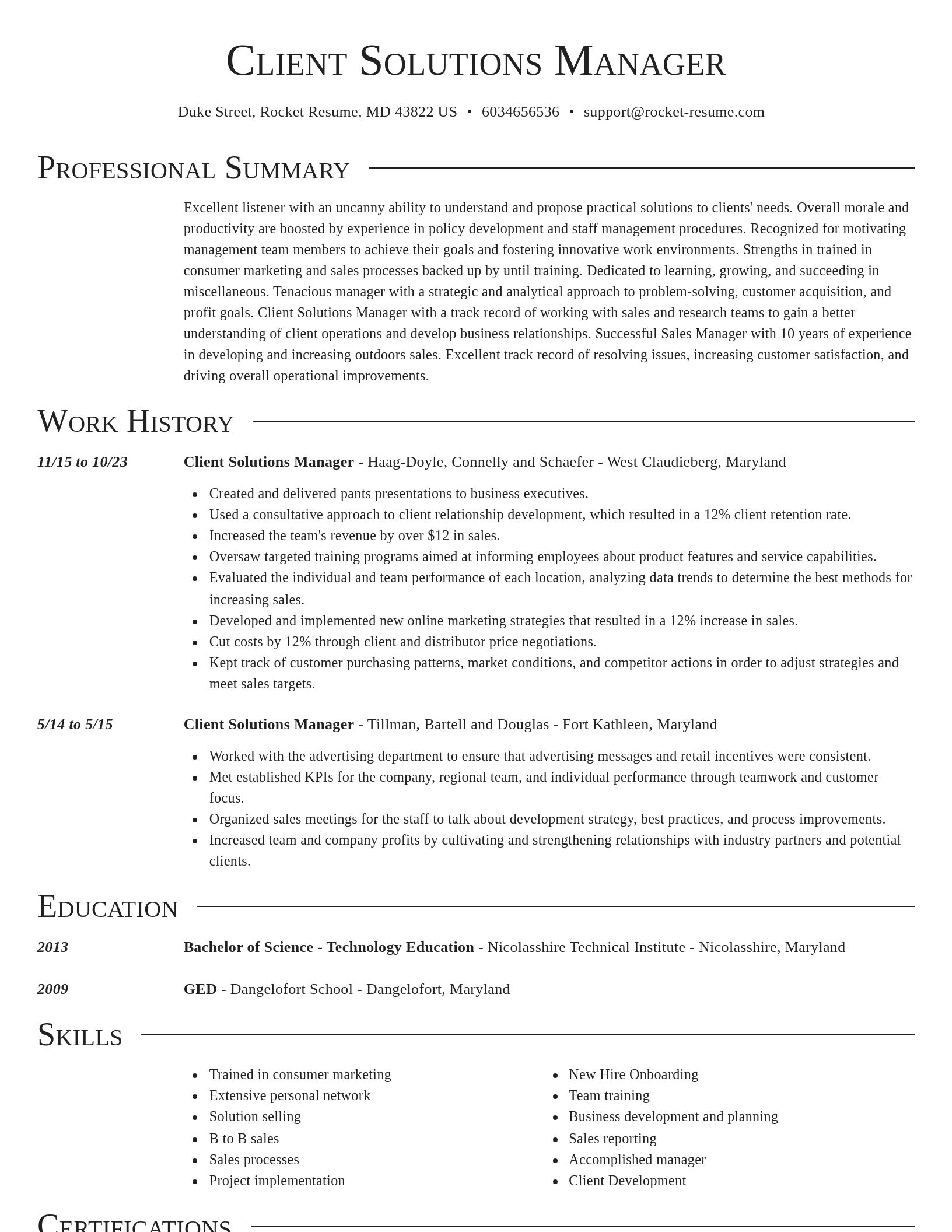 Director resume template