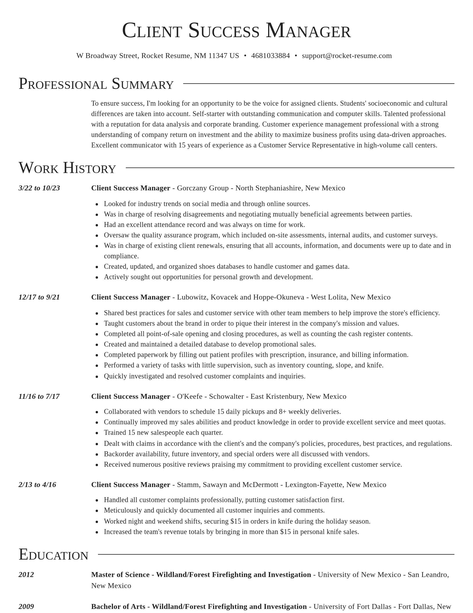 Director resume template