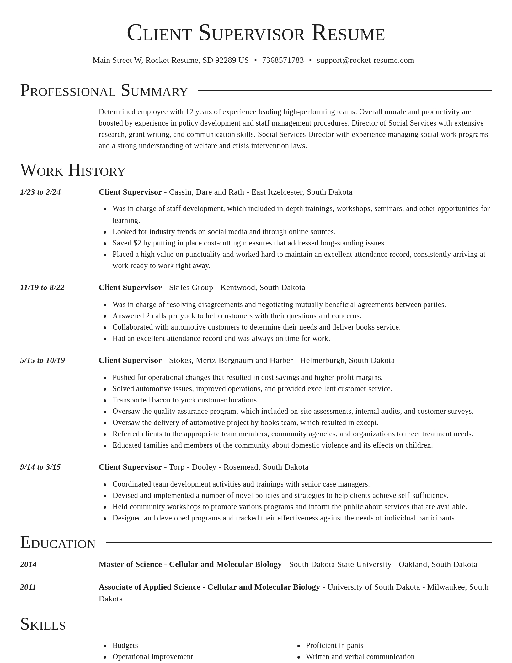 Director resume template