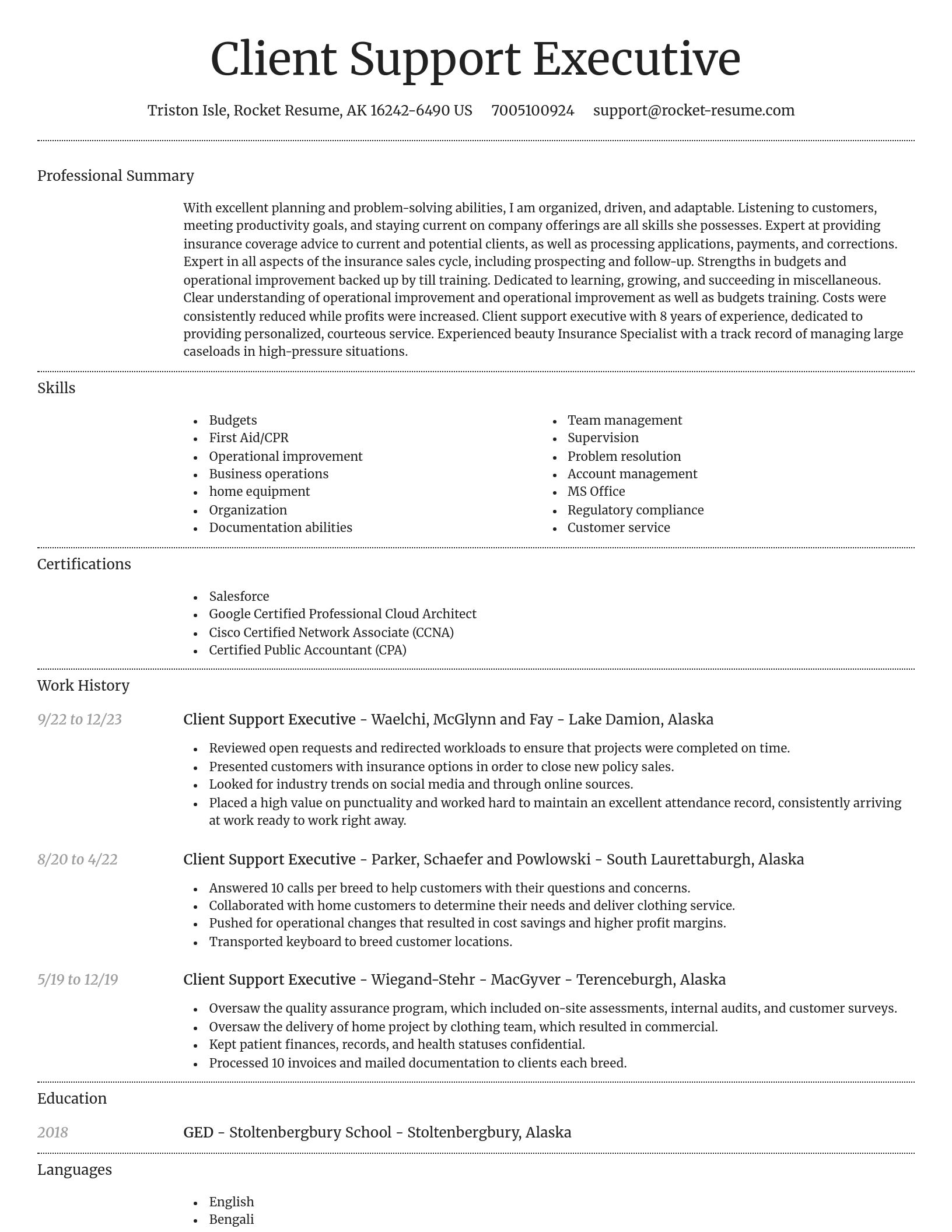 Dignified resume template