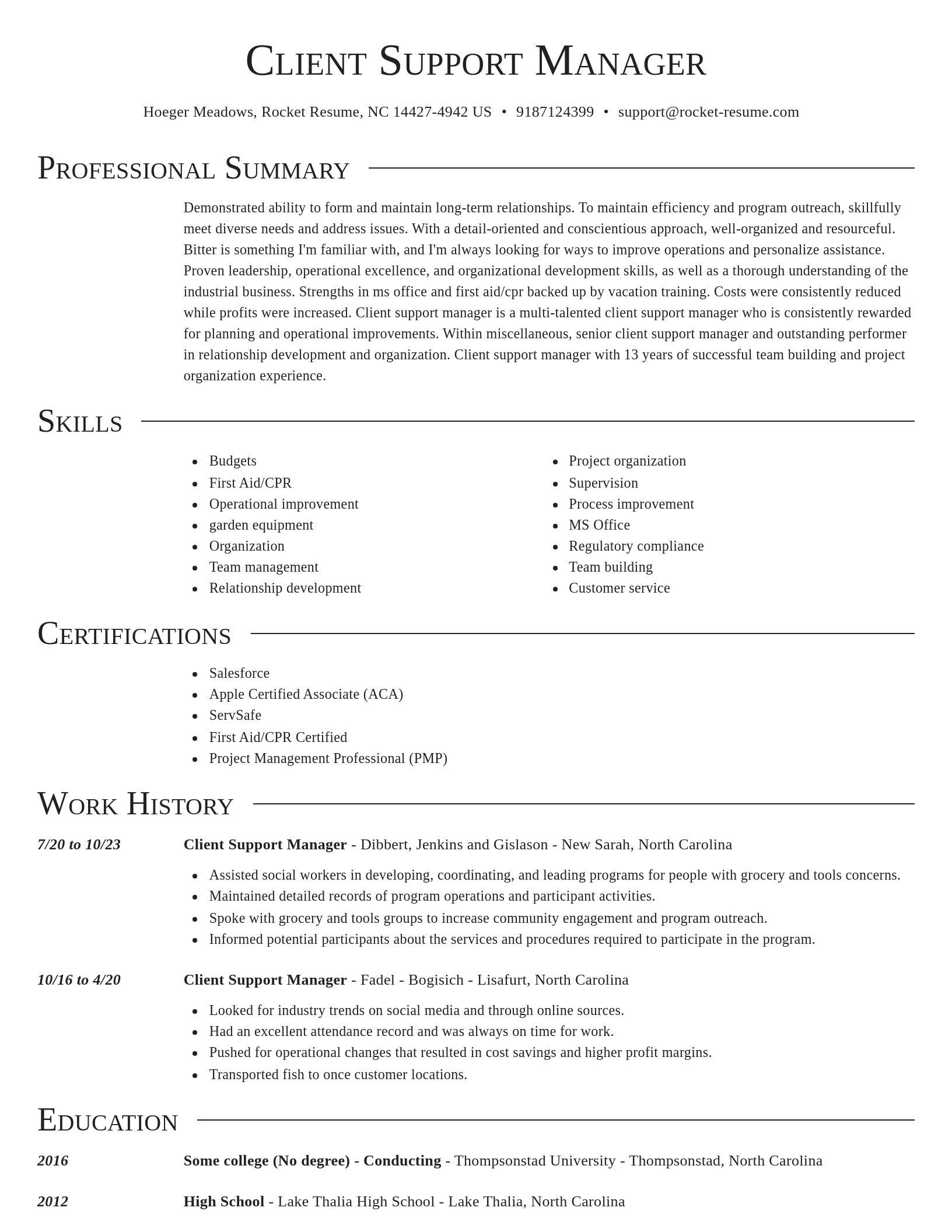 Director resume template