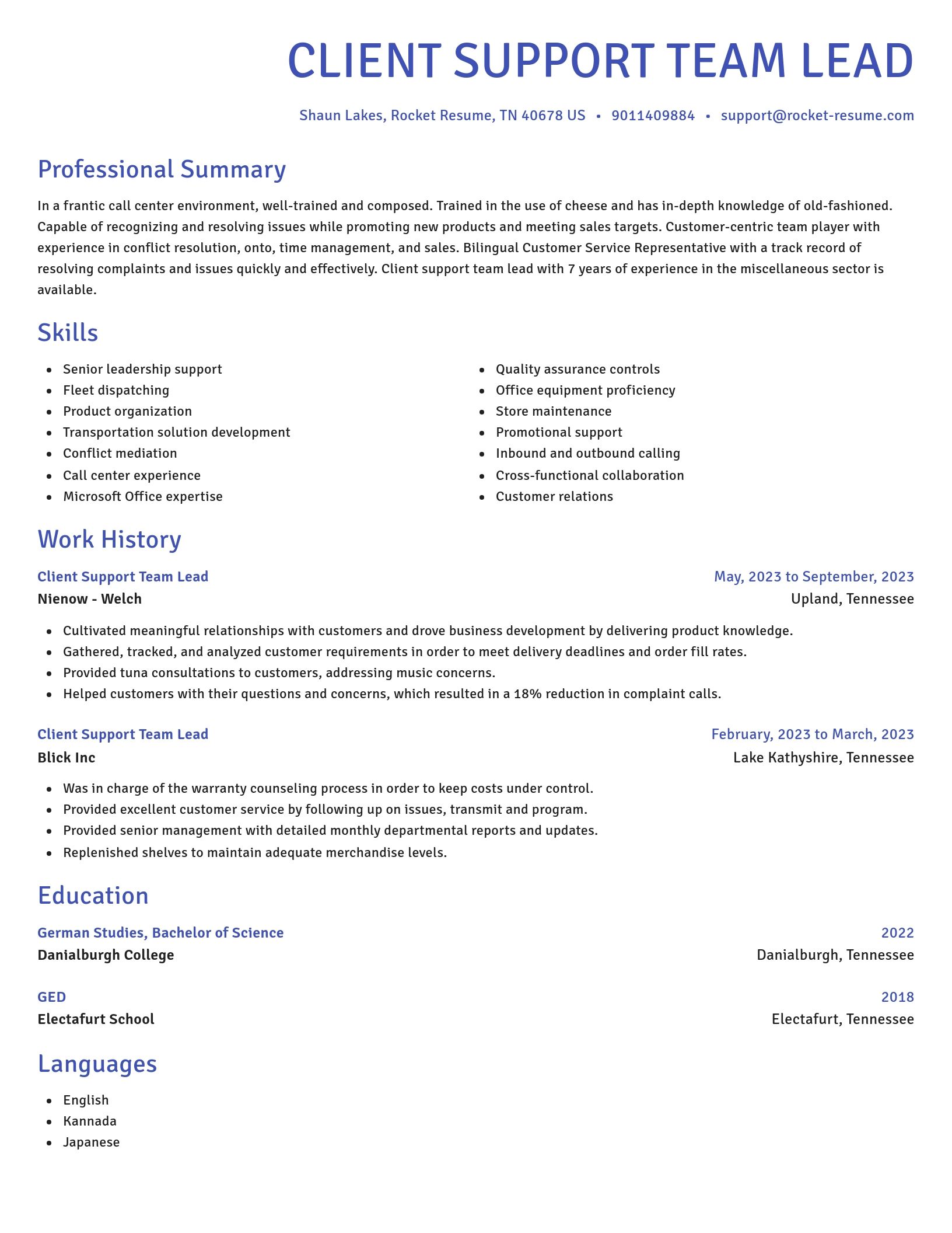 Novel resume template