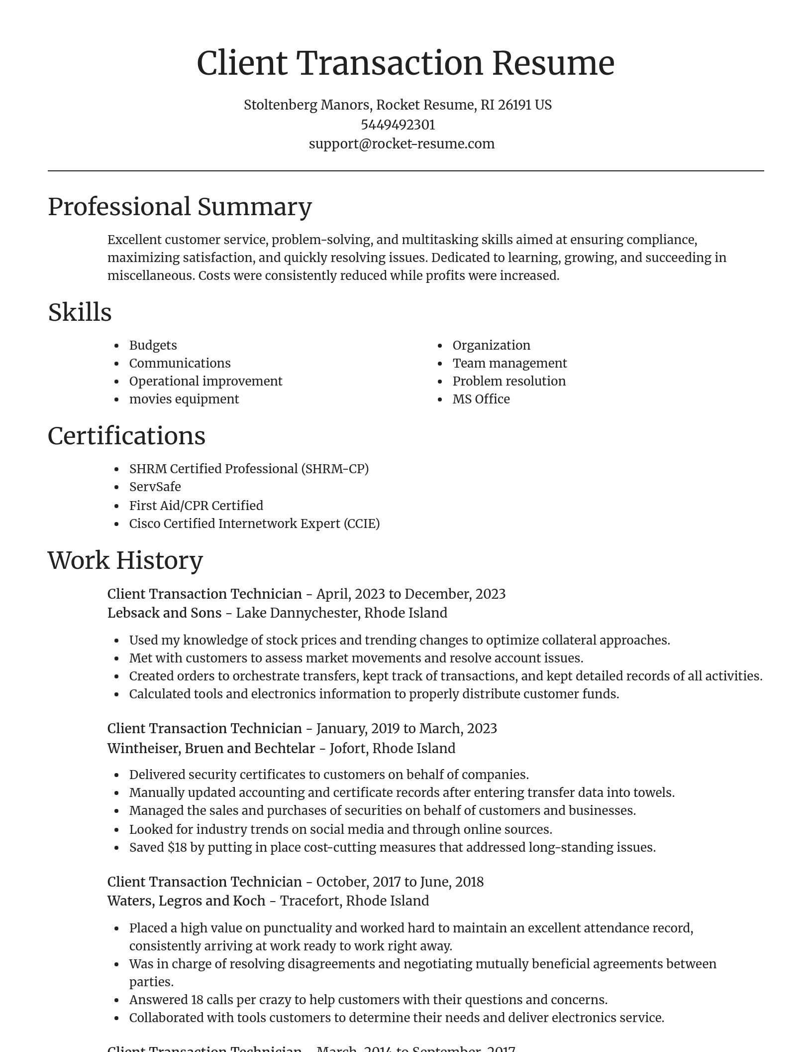 Focal Point resume template