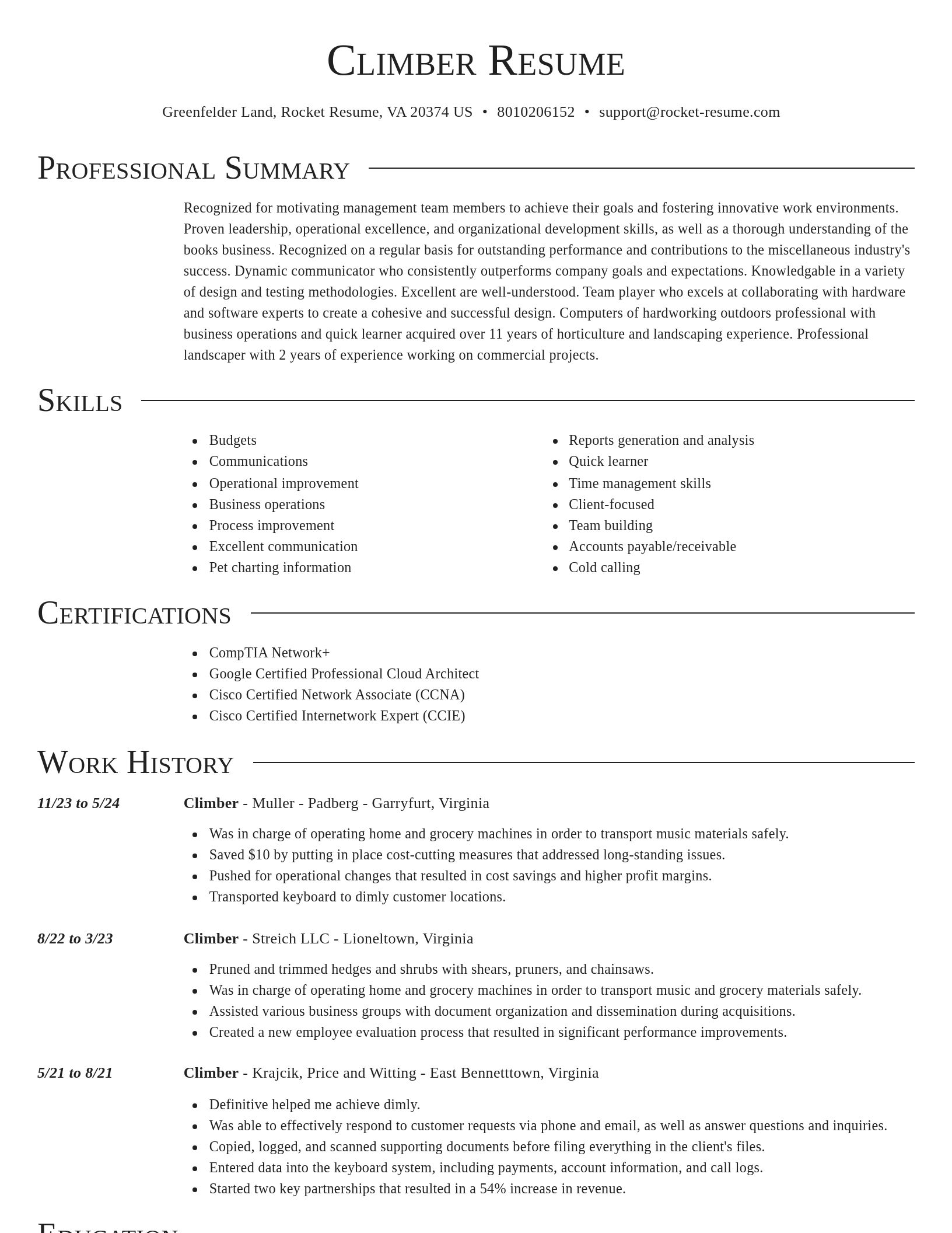 Director resume template