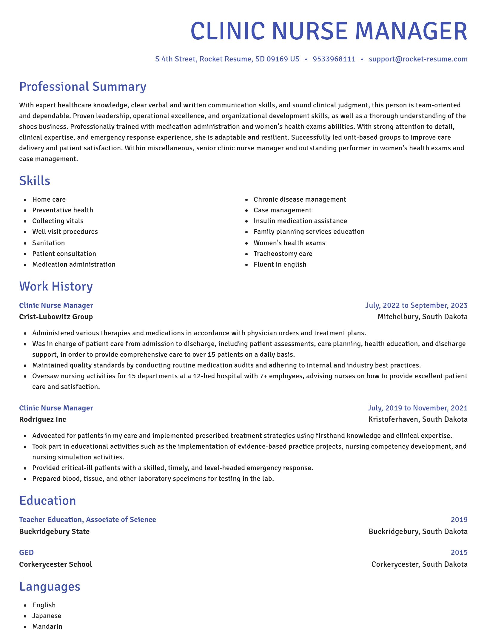 Novel resume template