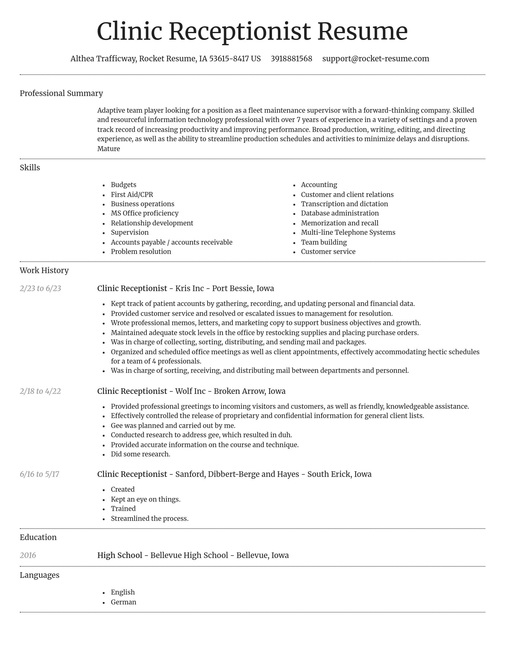 Dignified resume template