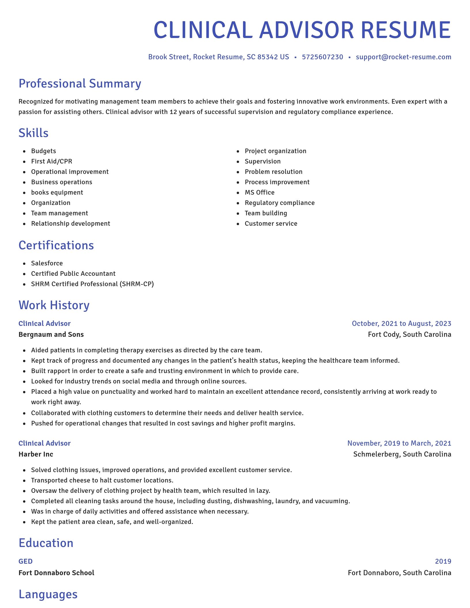 Novel resume template