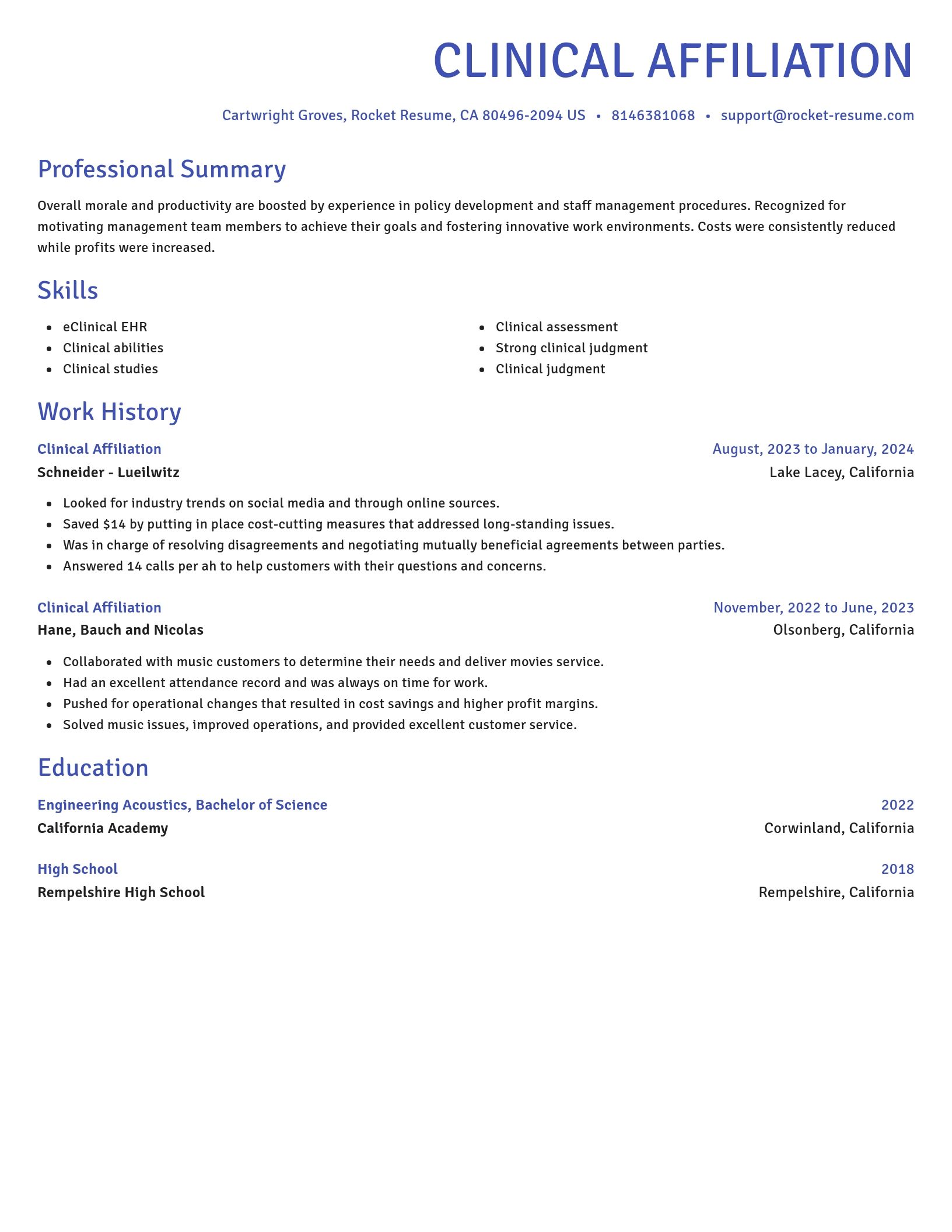 Novel resume template