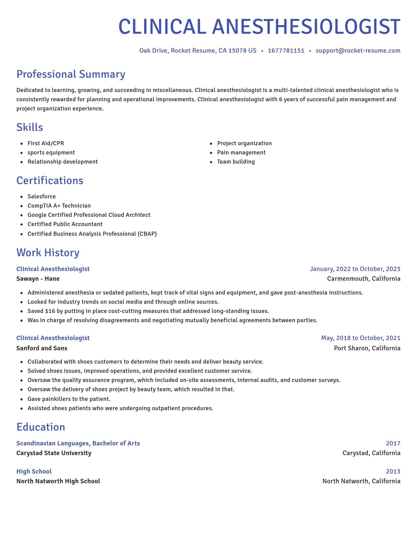 Novel resume template