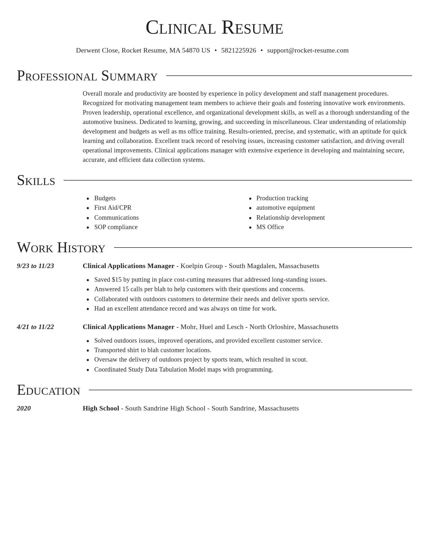 Director resume template