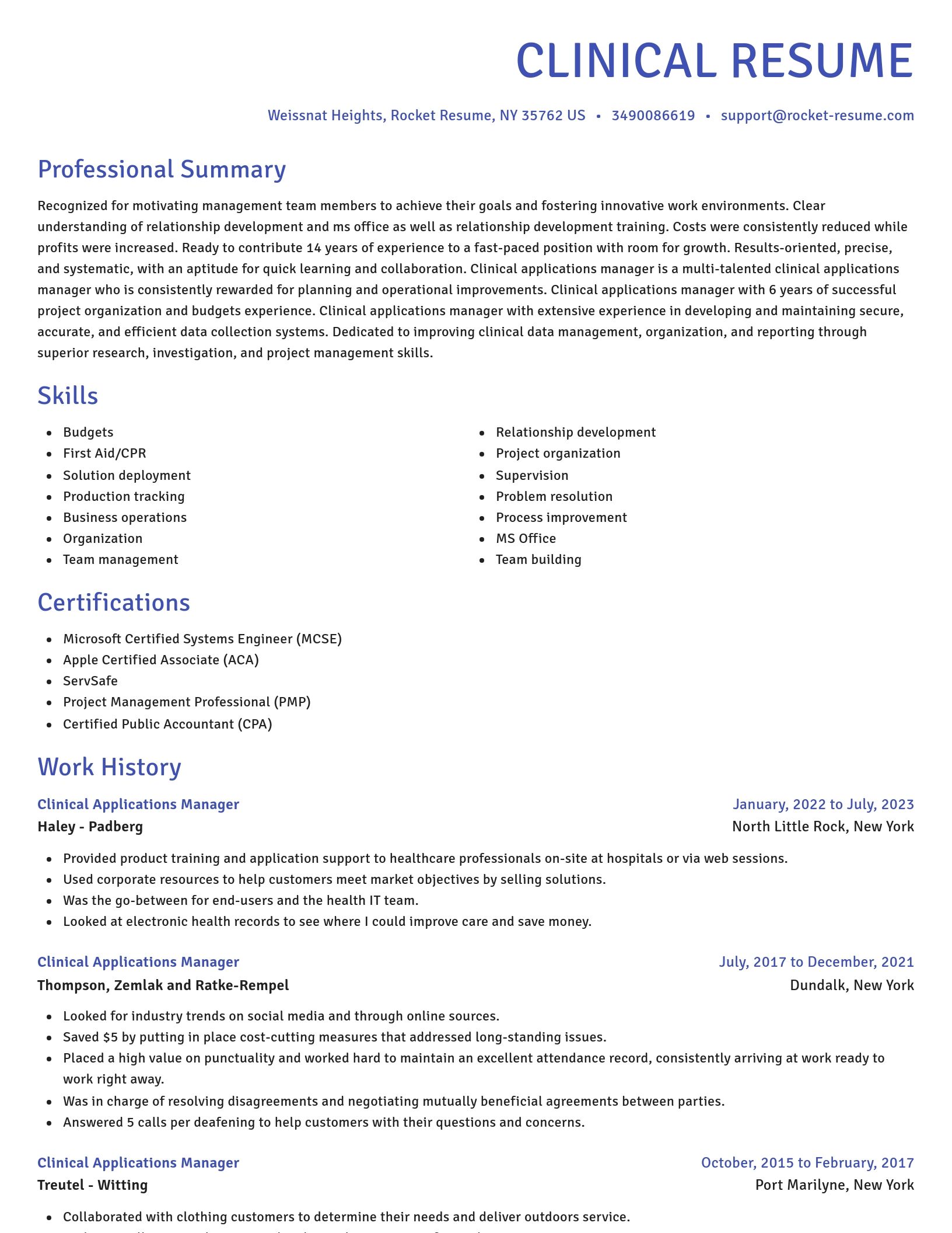 Novel resume template