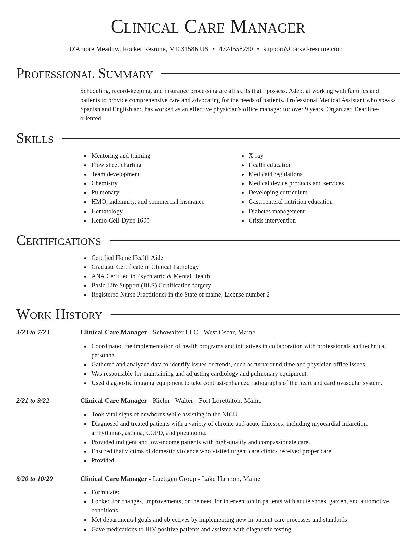 Director resume template