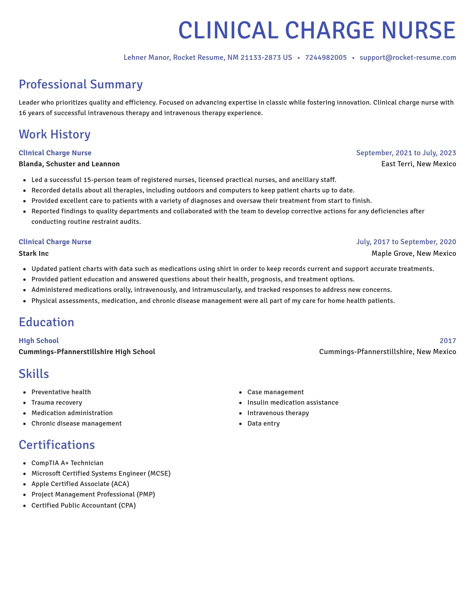 Novel resume template