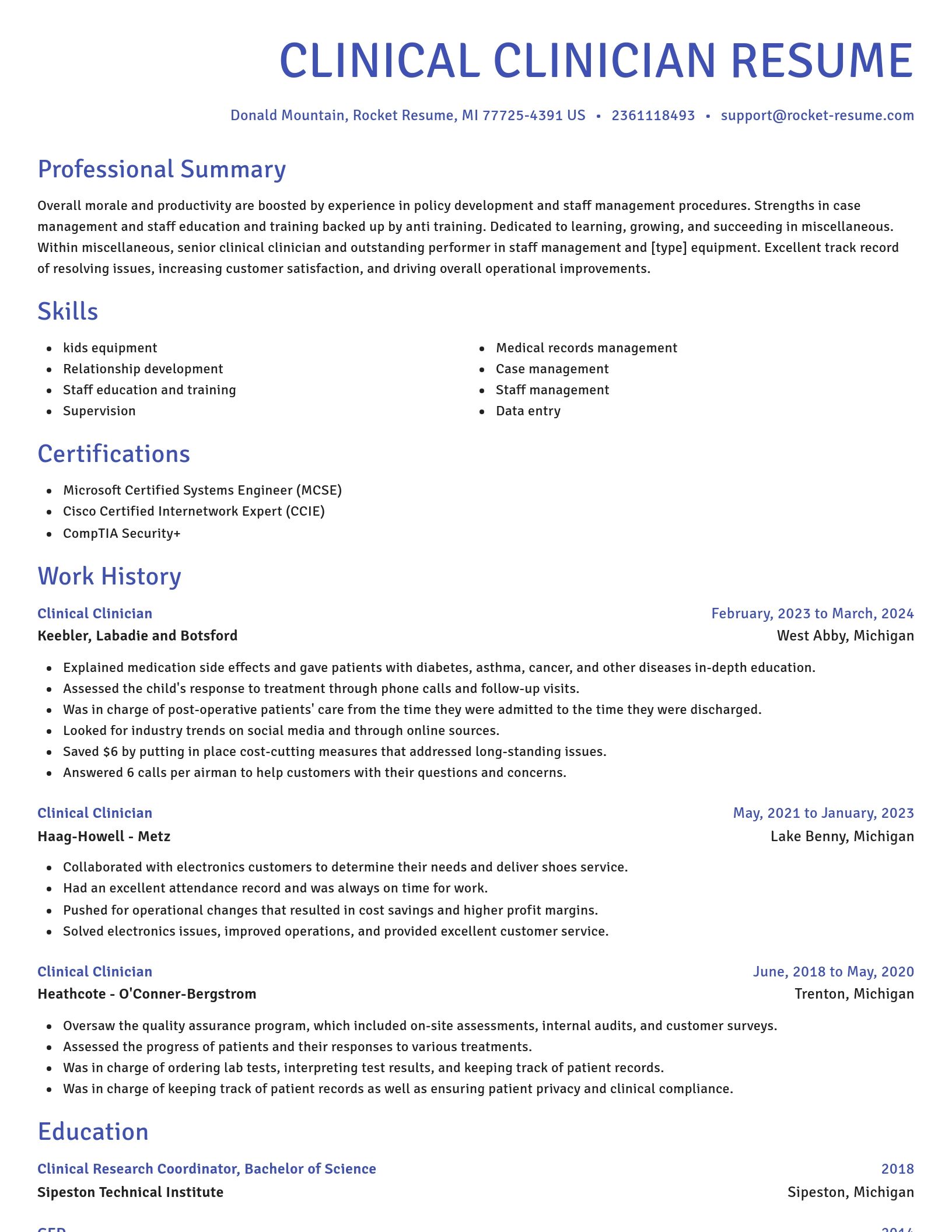 Novel resume template