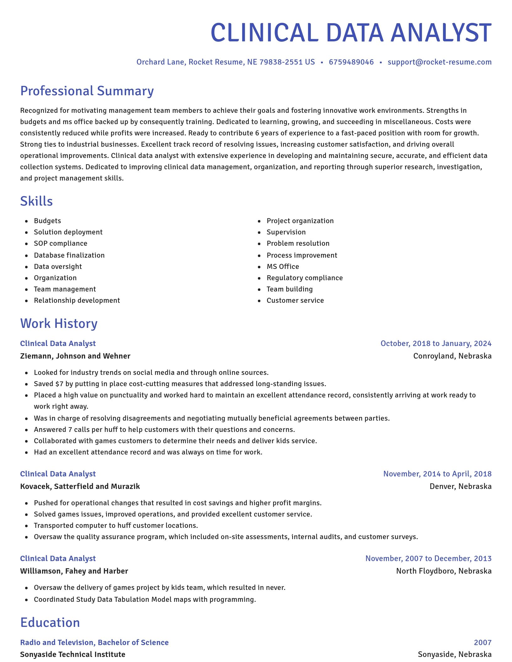 Novel resume template