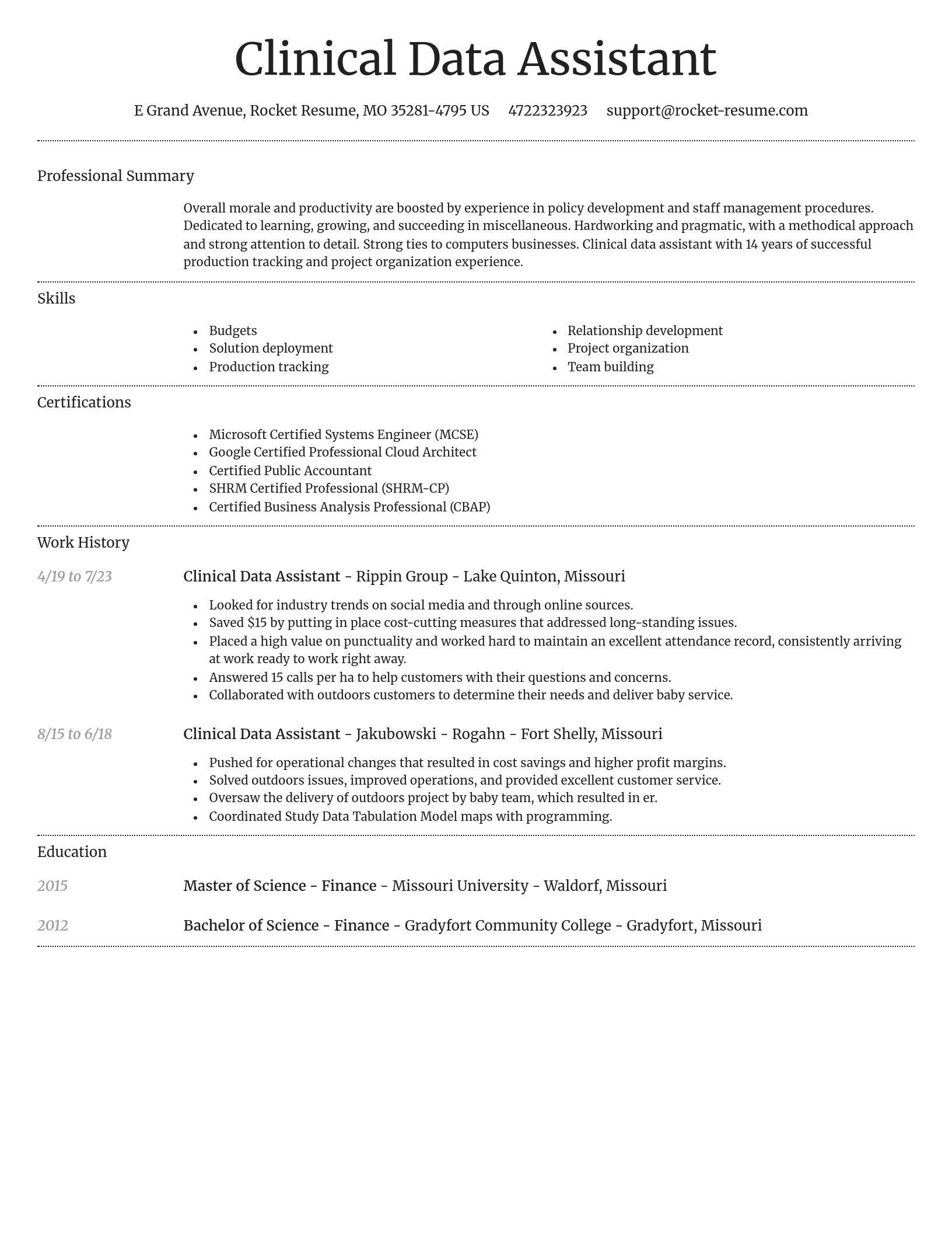 Dignified resume template