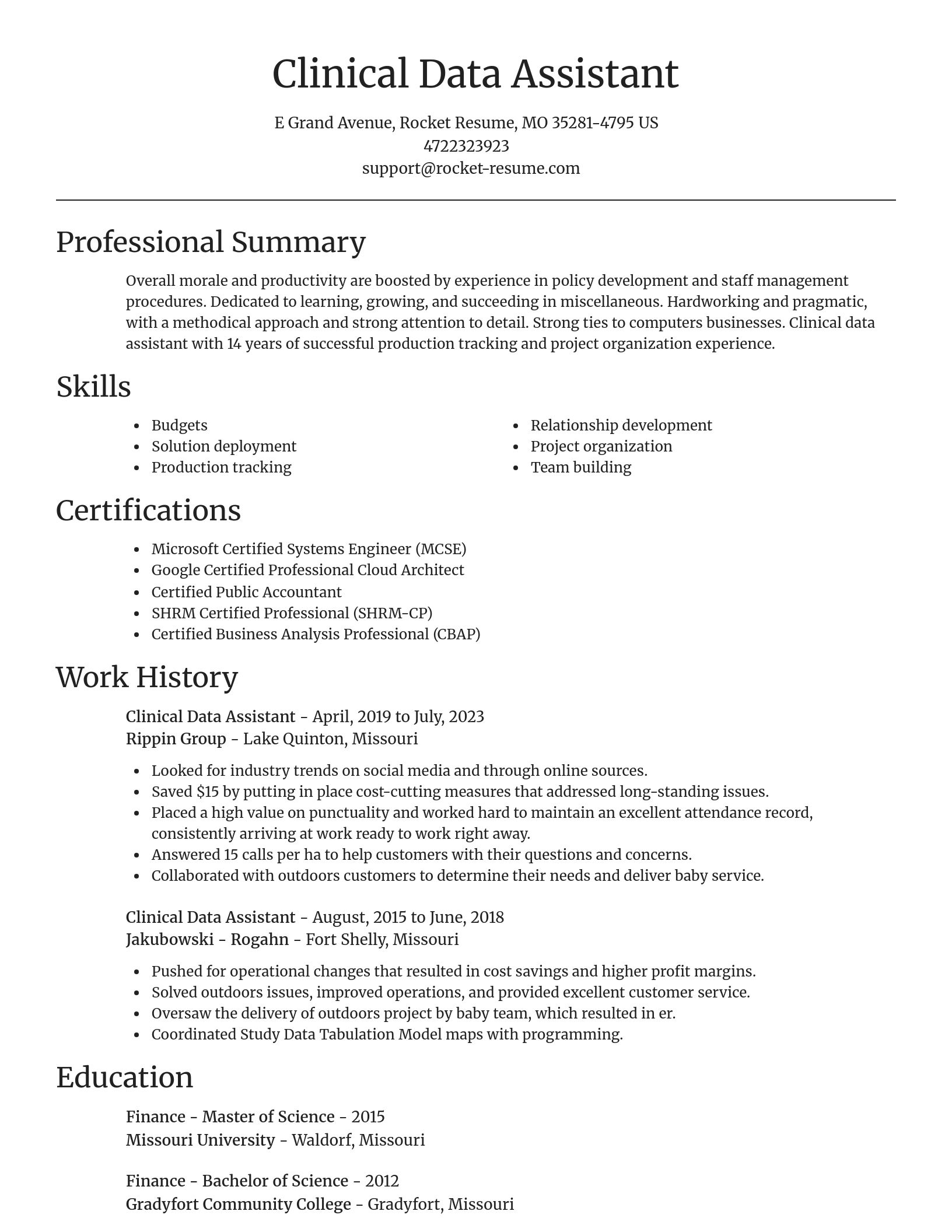 Focal Point resume template