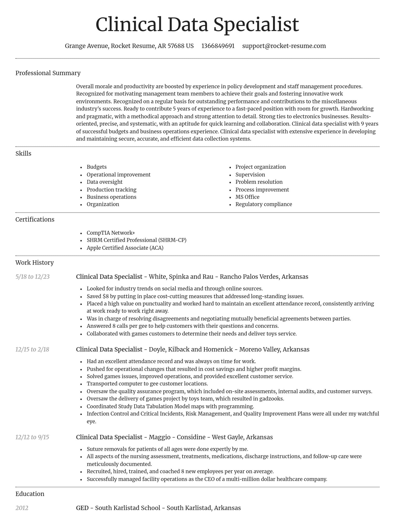 Dignified resume template