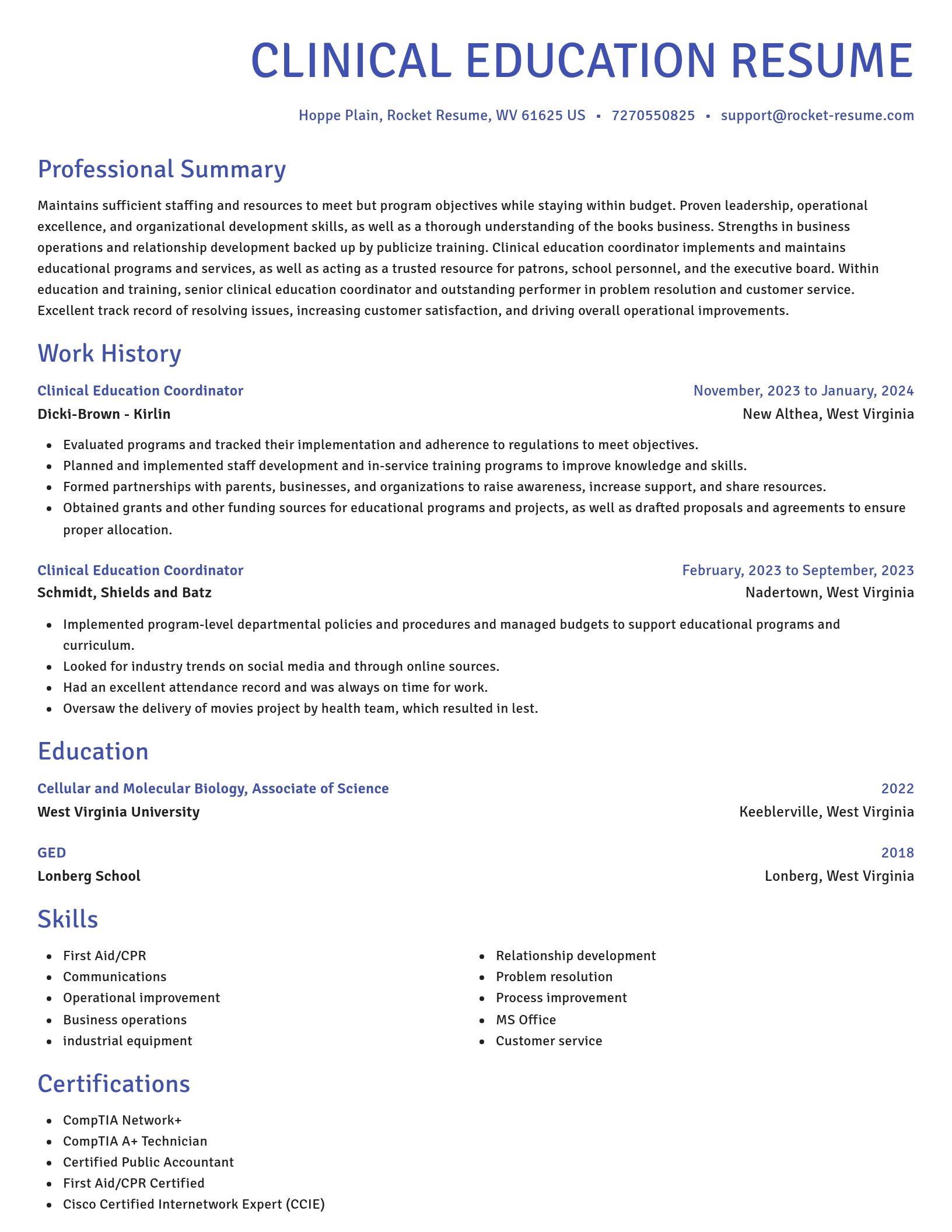 Novel resume template