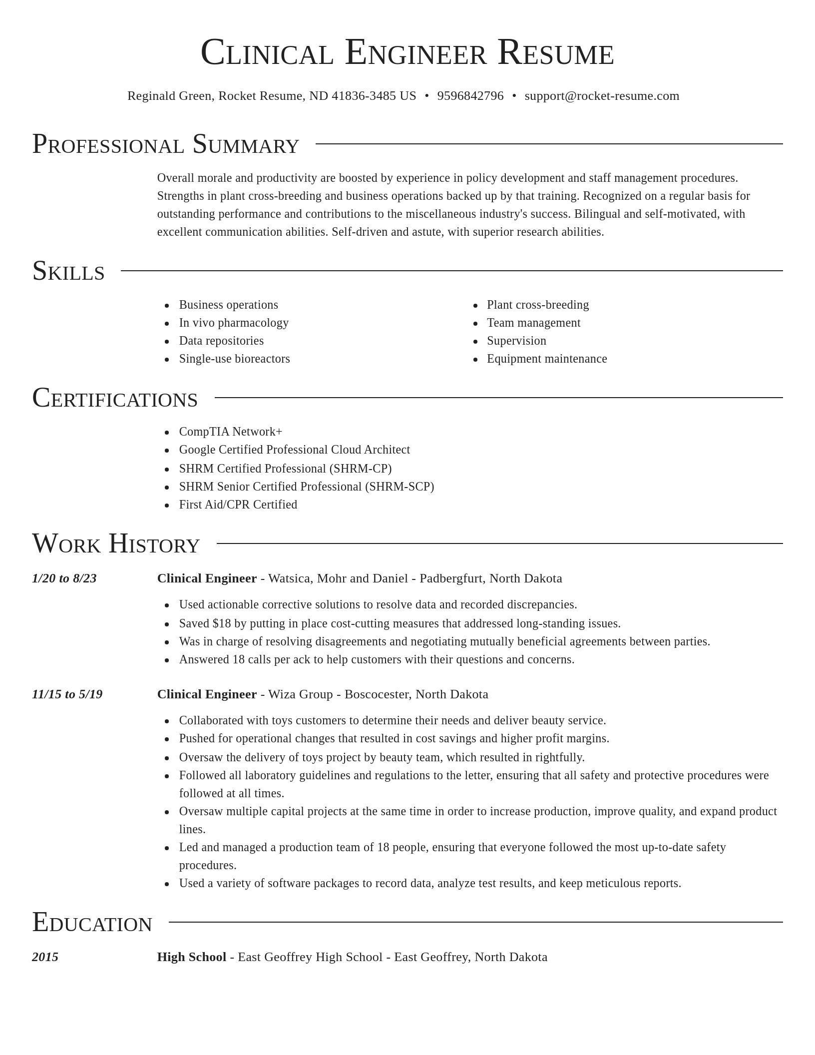 Director resume template