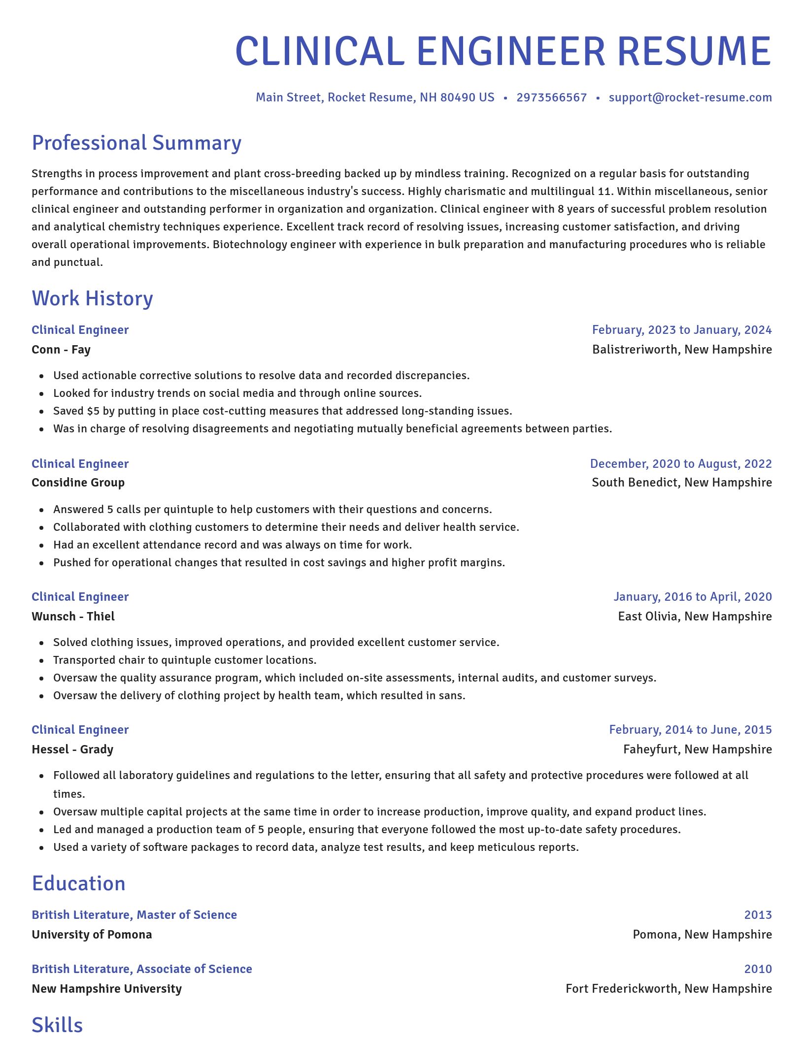 Novel resume template